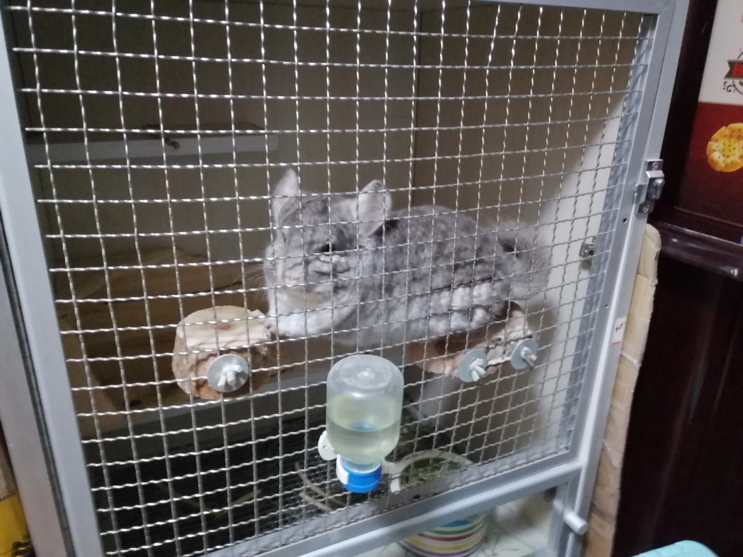 もっと見る