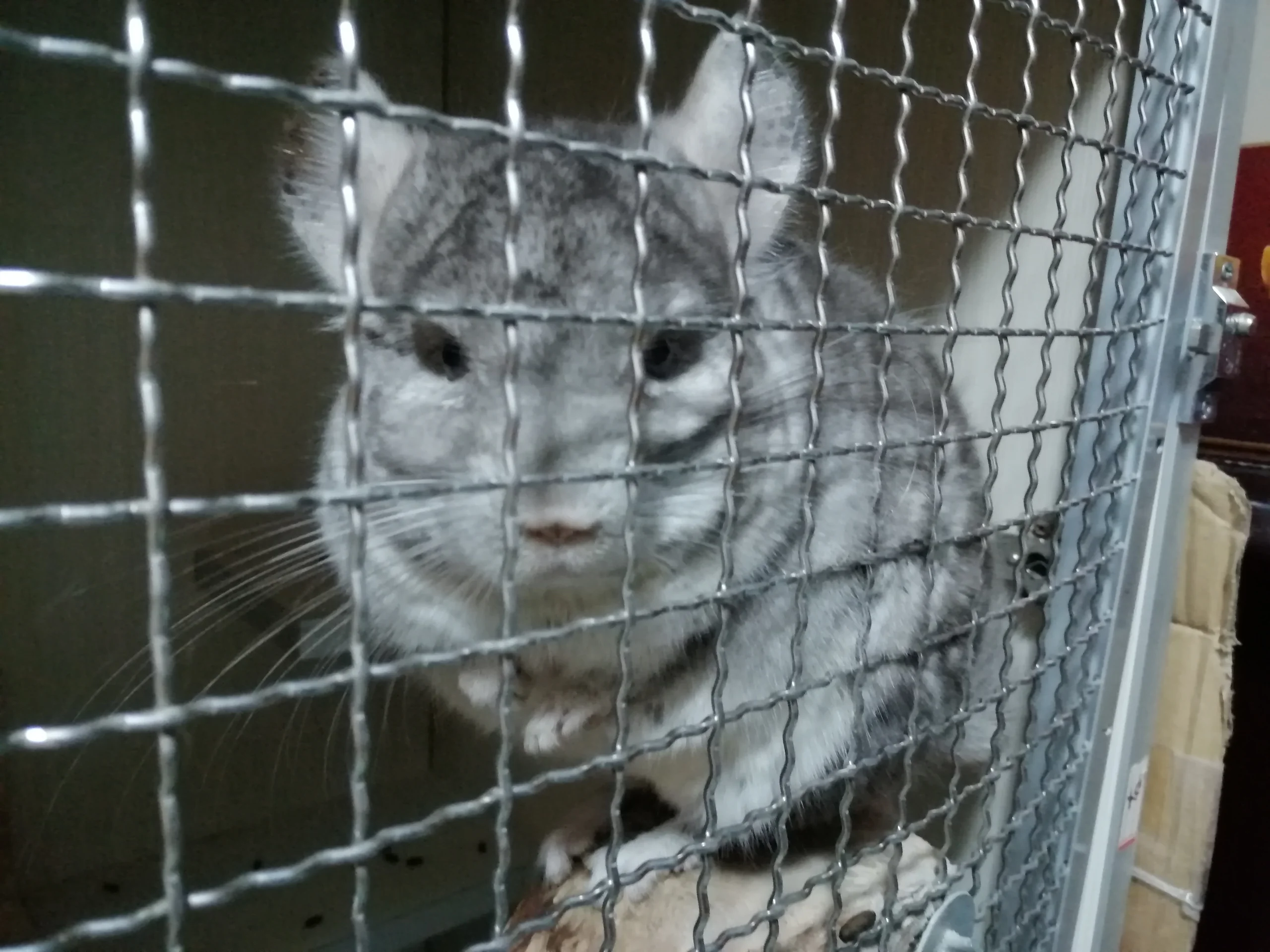 もっと見る