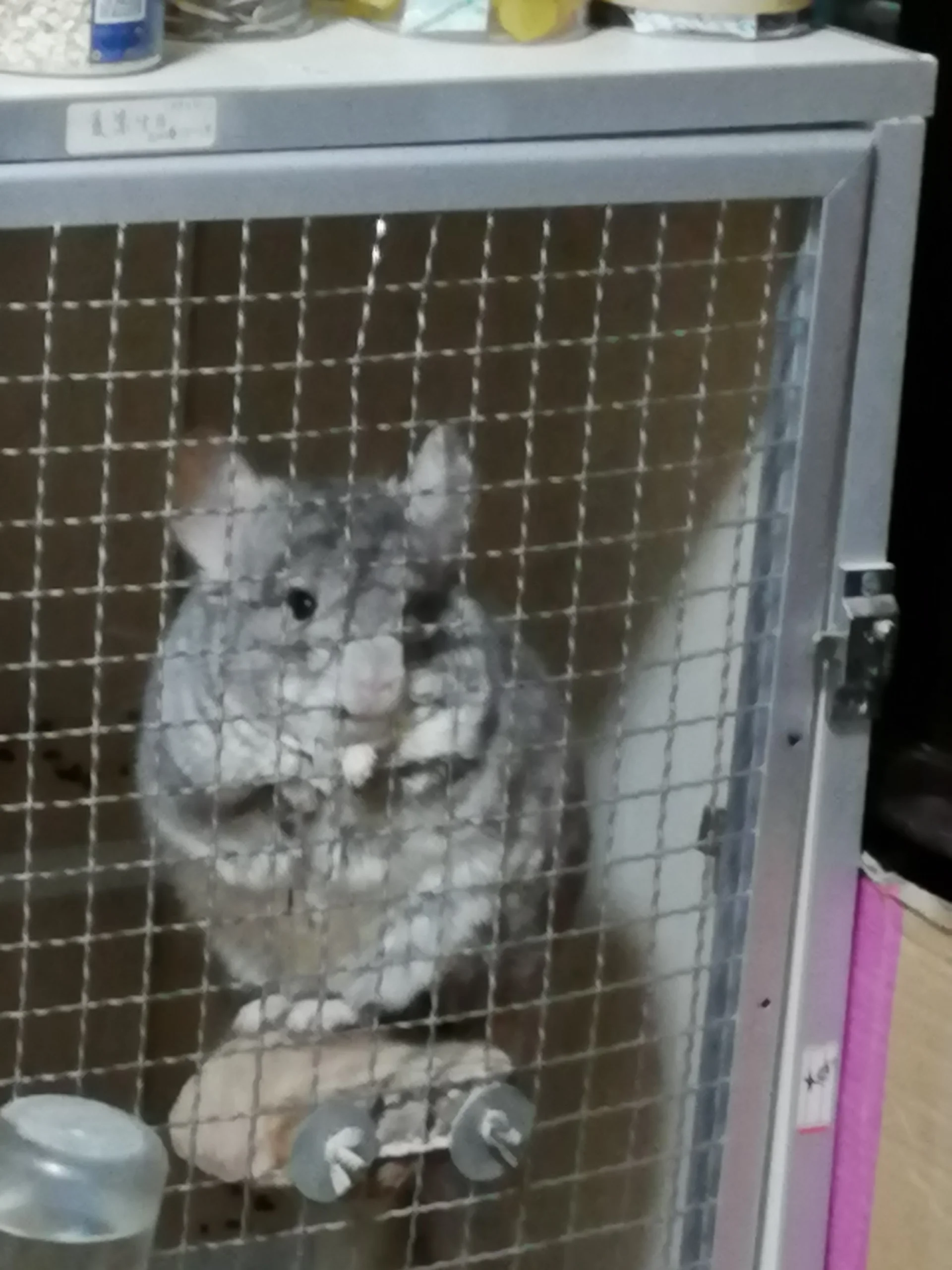 もっと見る