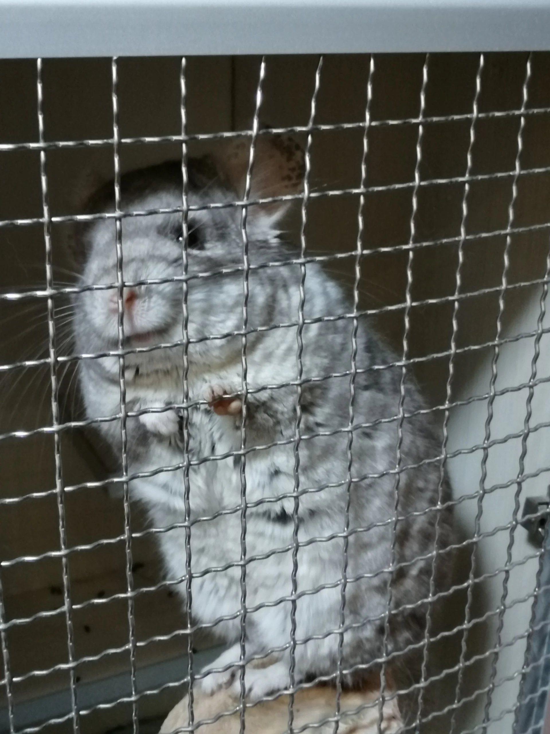 もっと見る