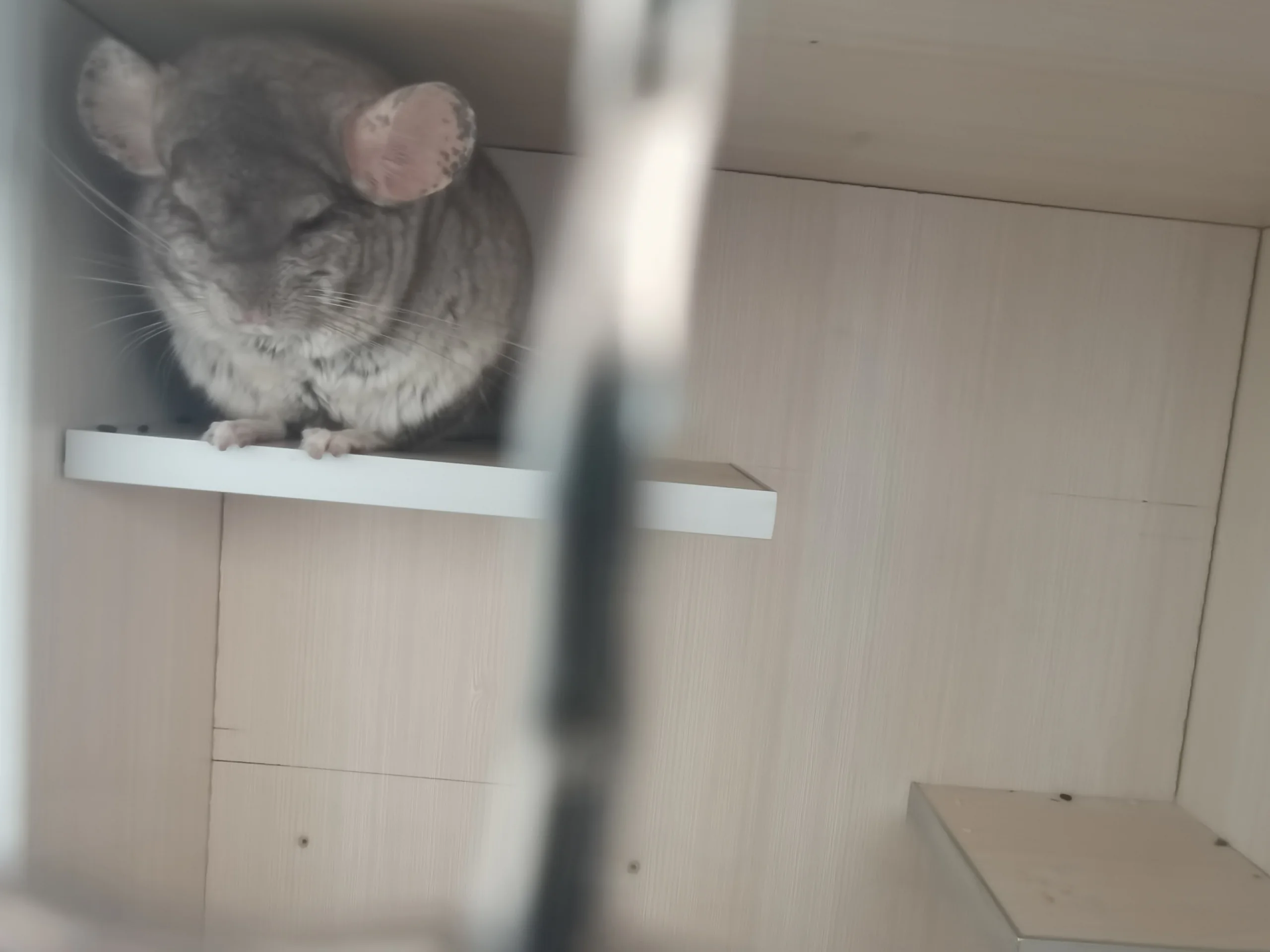 もっと見る