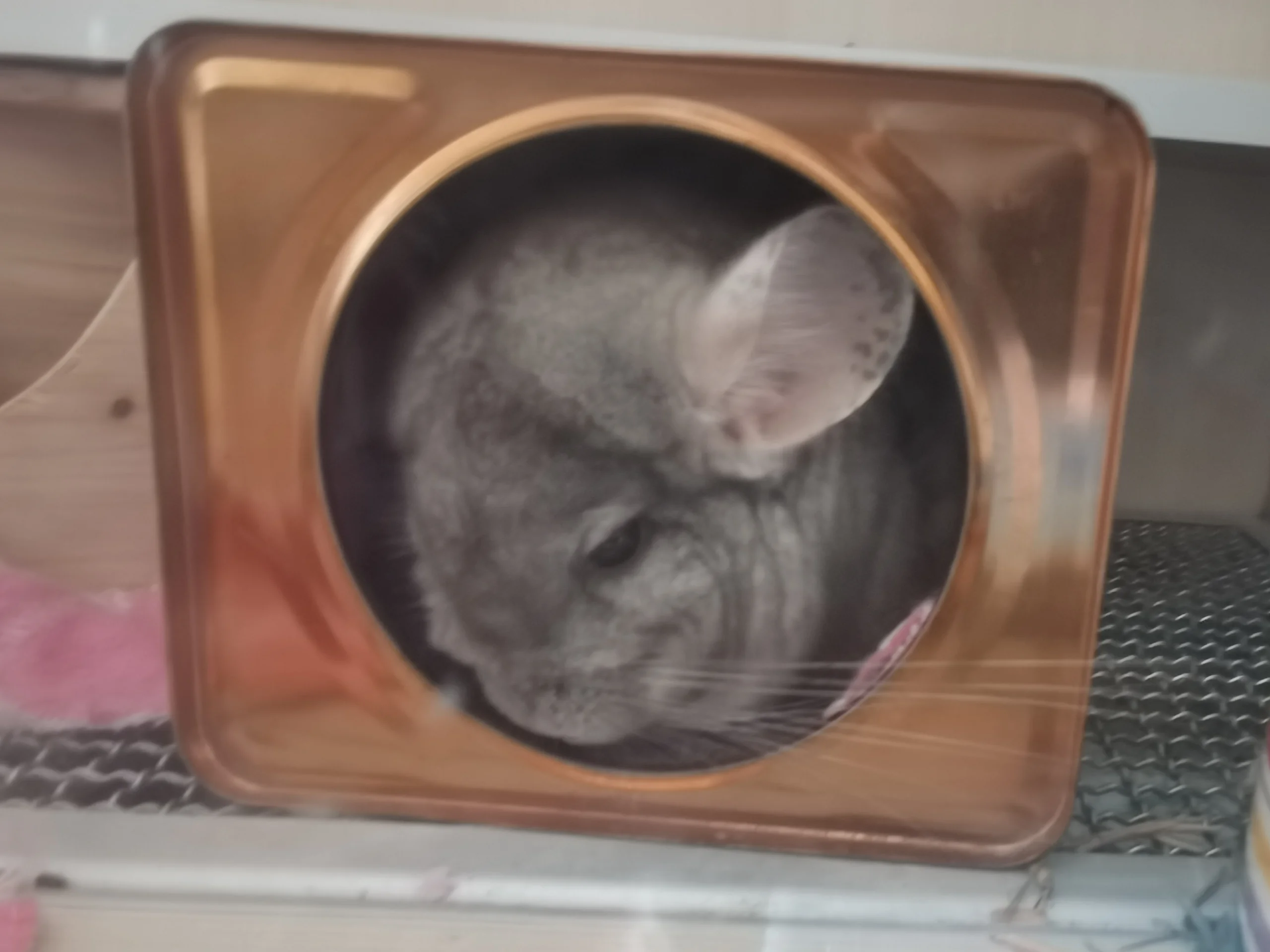 もっと見る