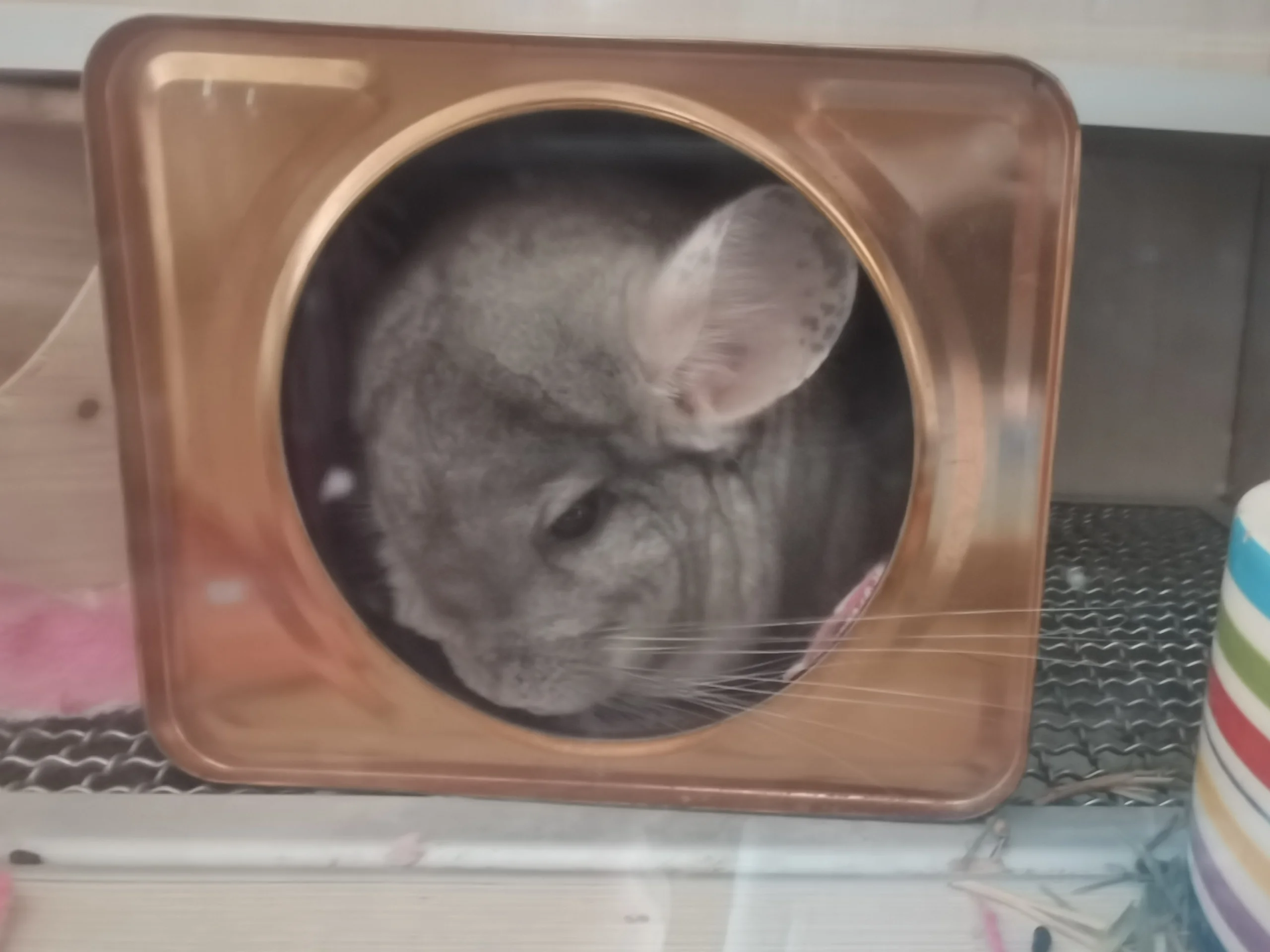 もっと見る