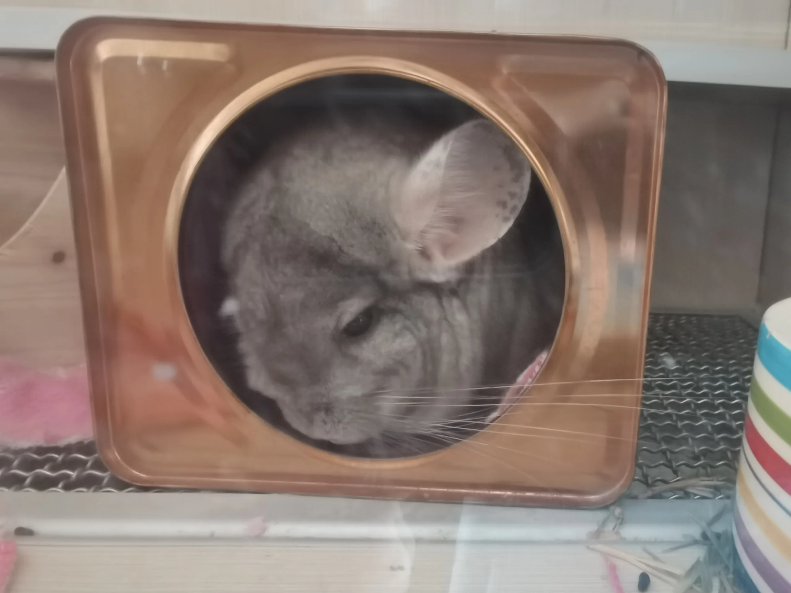 もっと見る