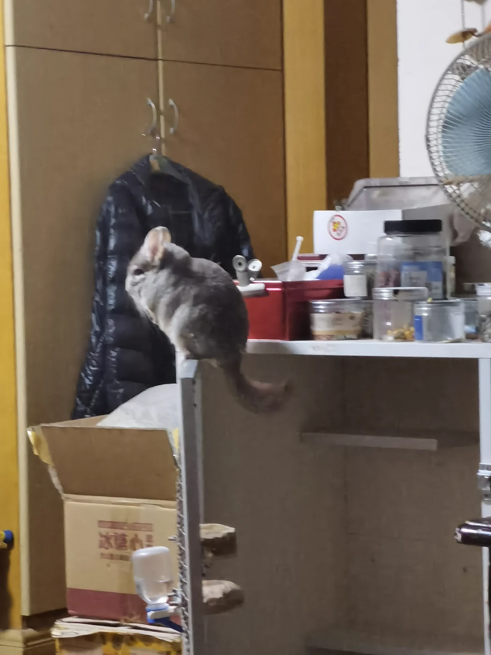 もっと見る