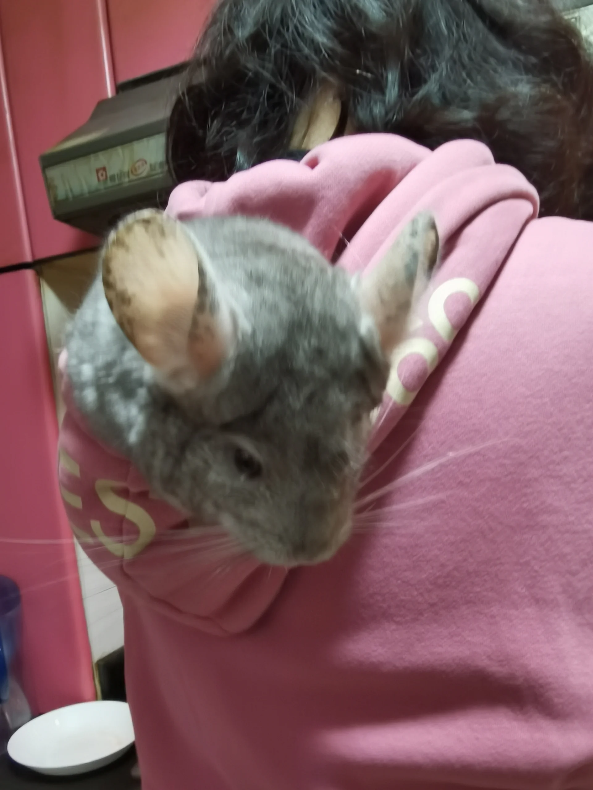 もっと見る