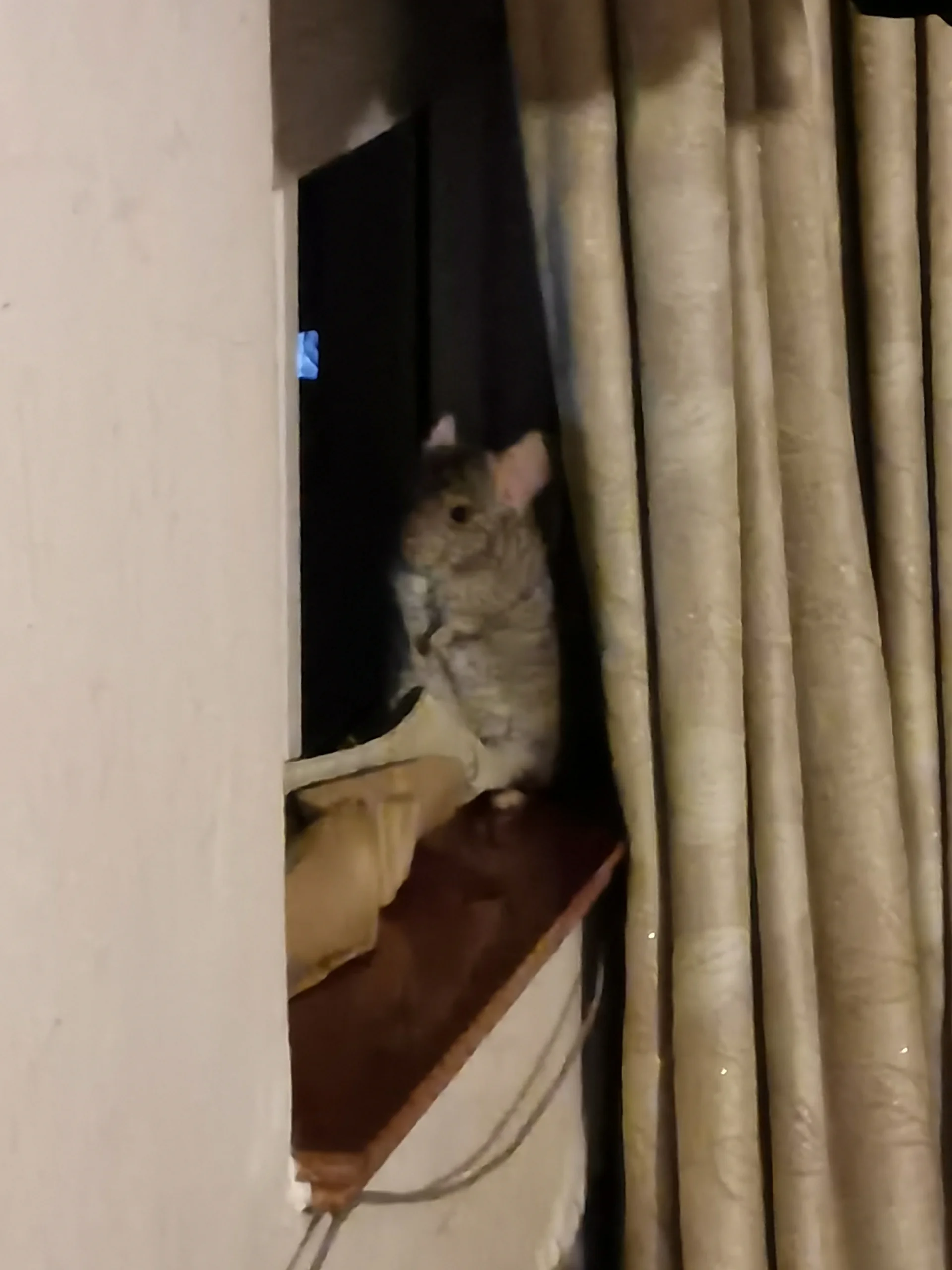 もっと見る