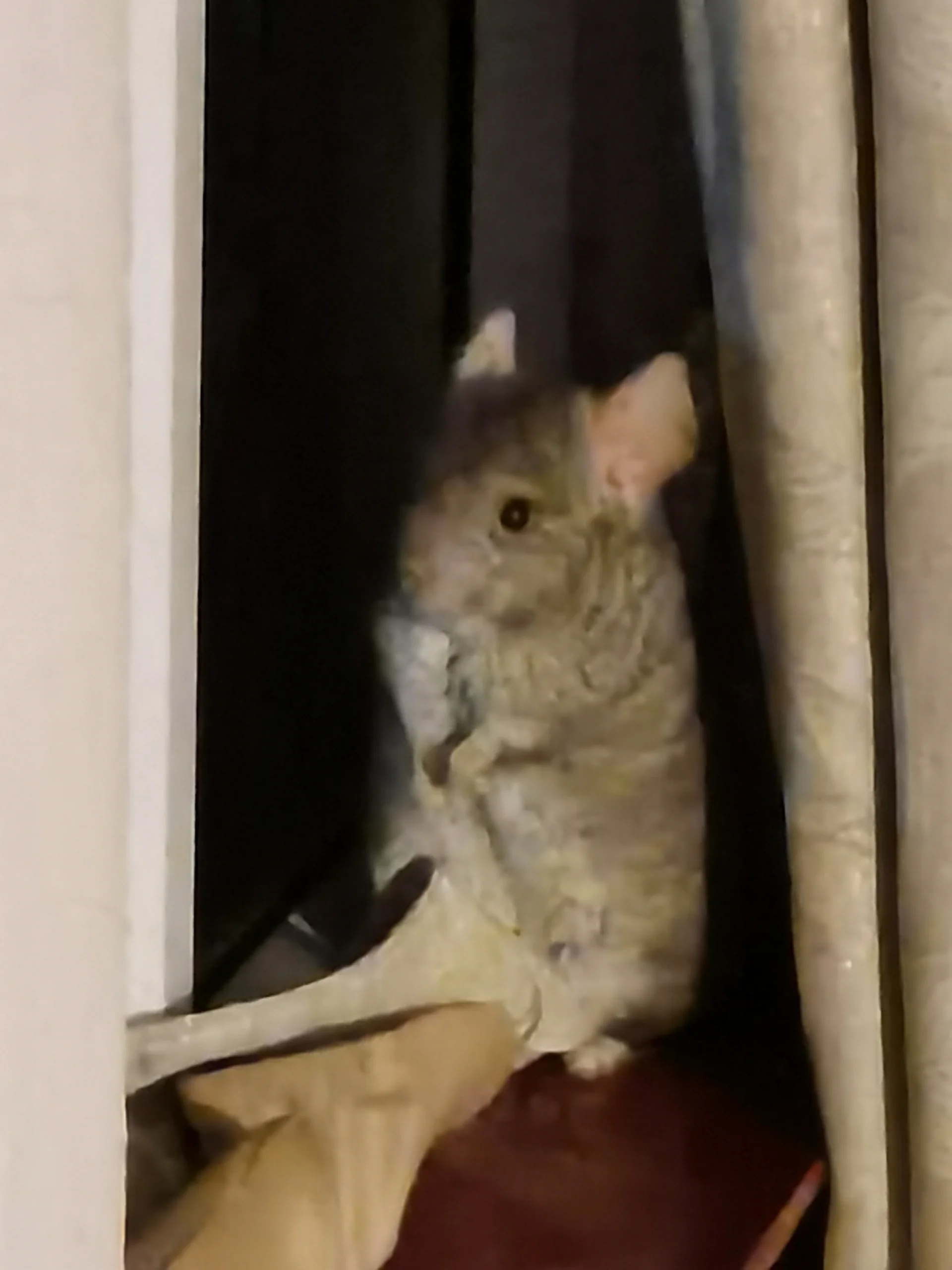 もっと見る