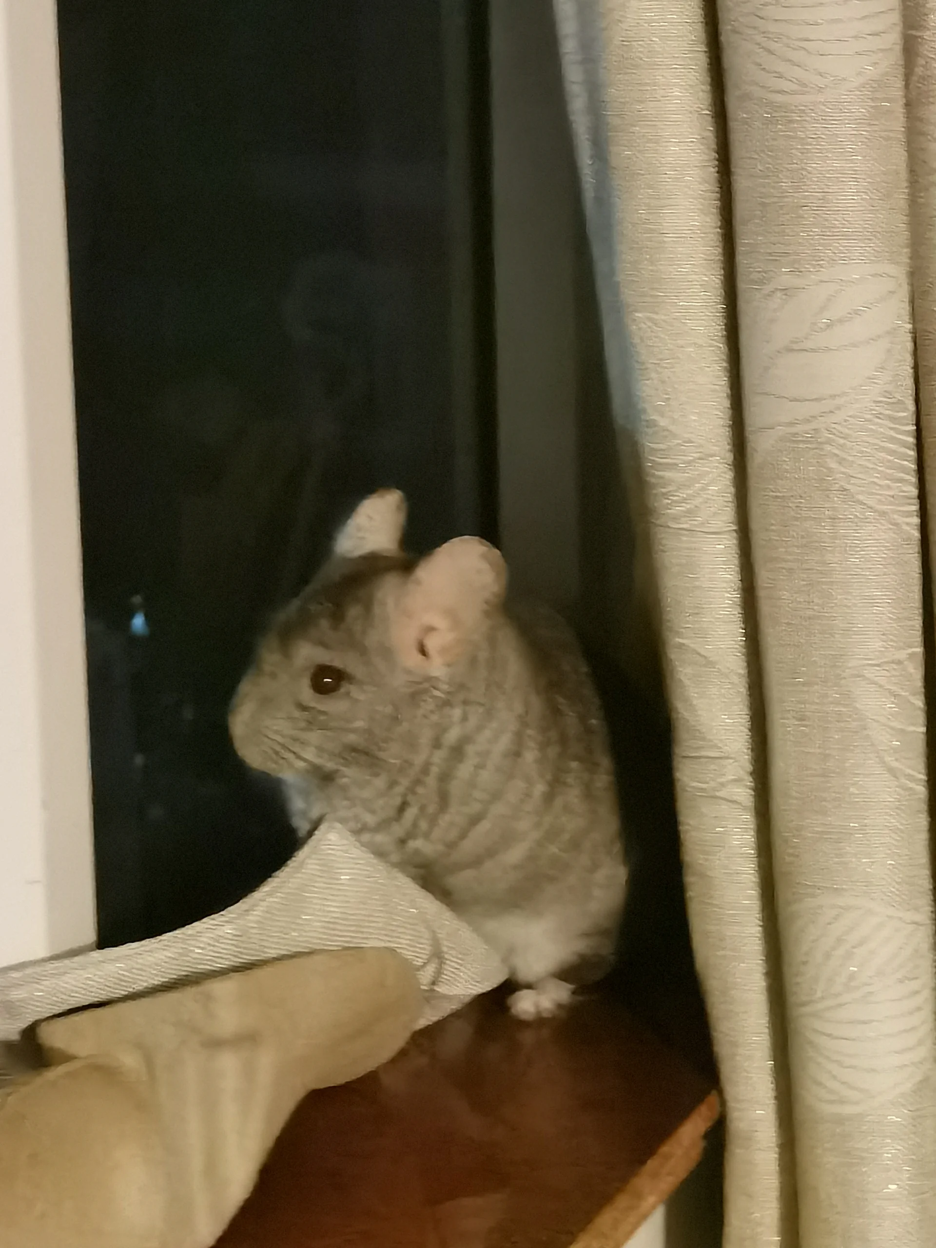 もっと見る
