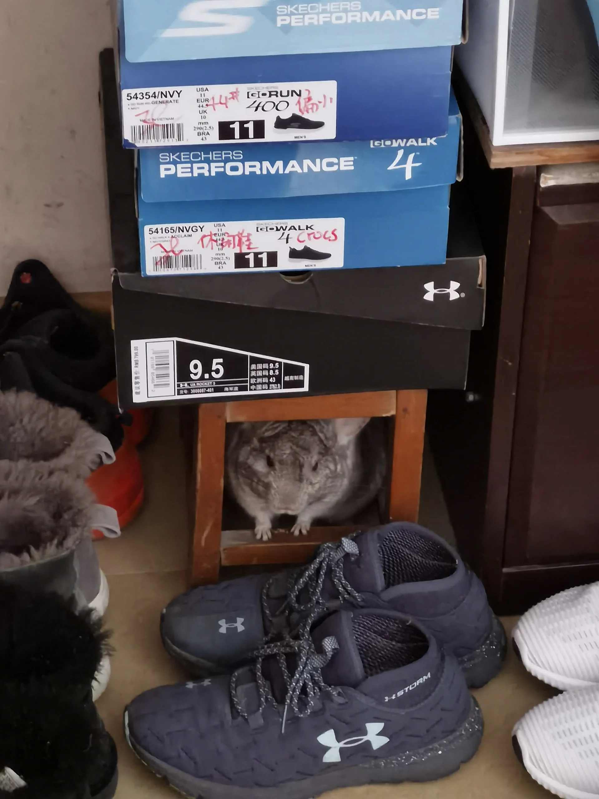 もっと見る