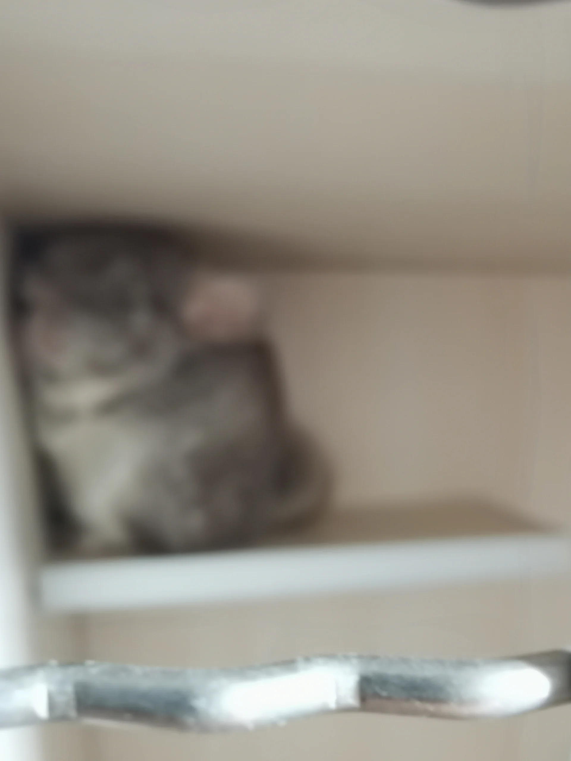 もっと見る