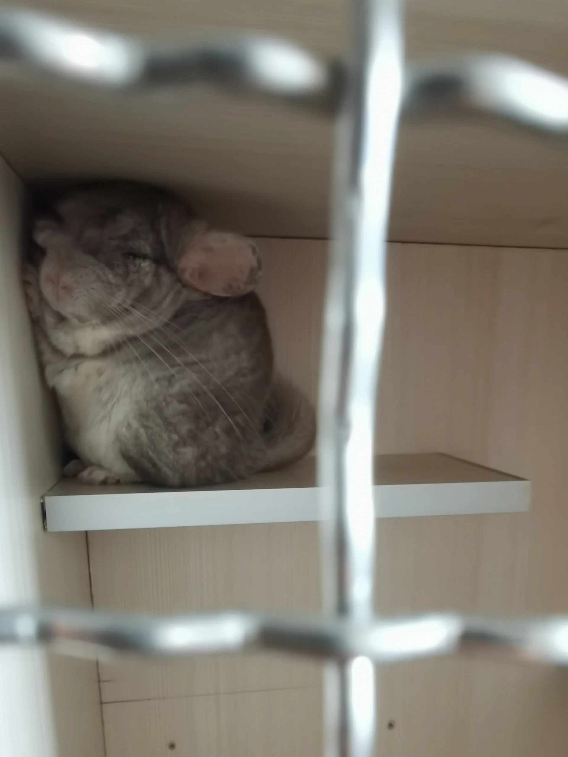 もっと見る