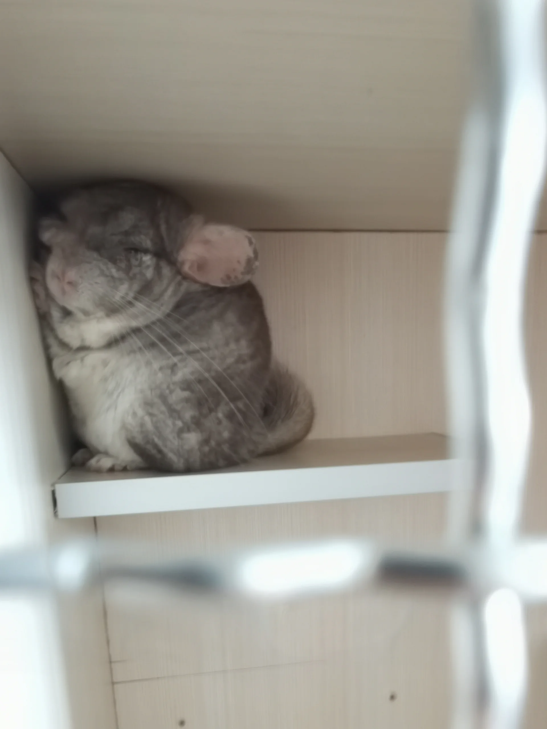 もっと見る