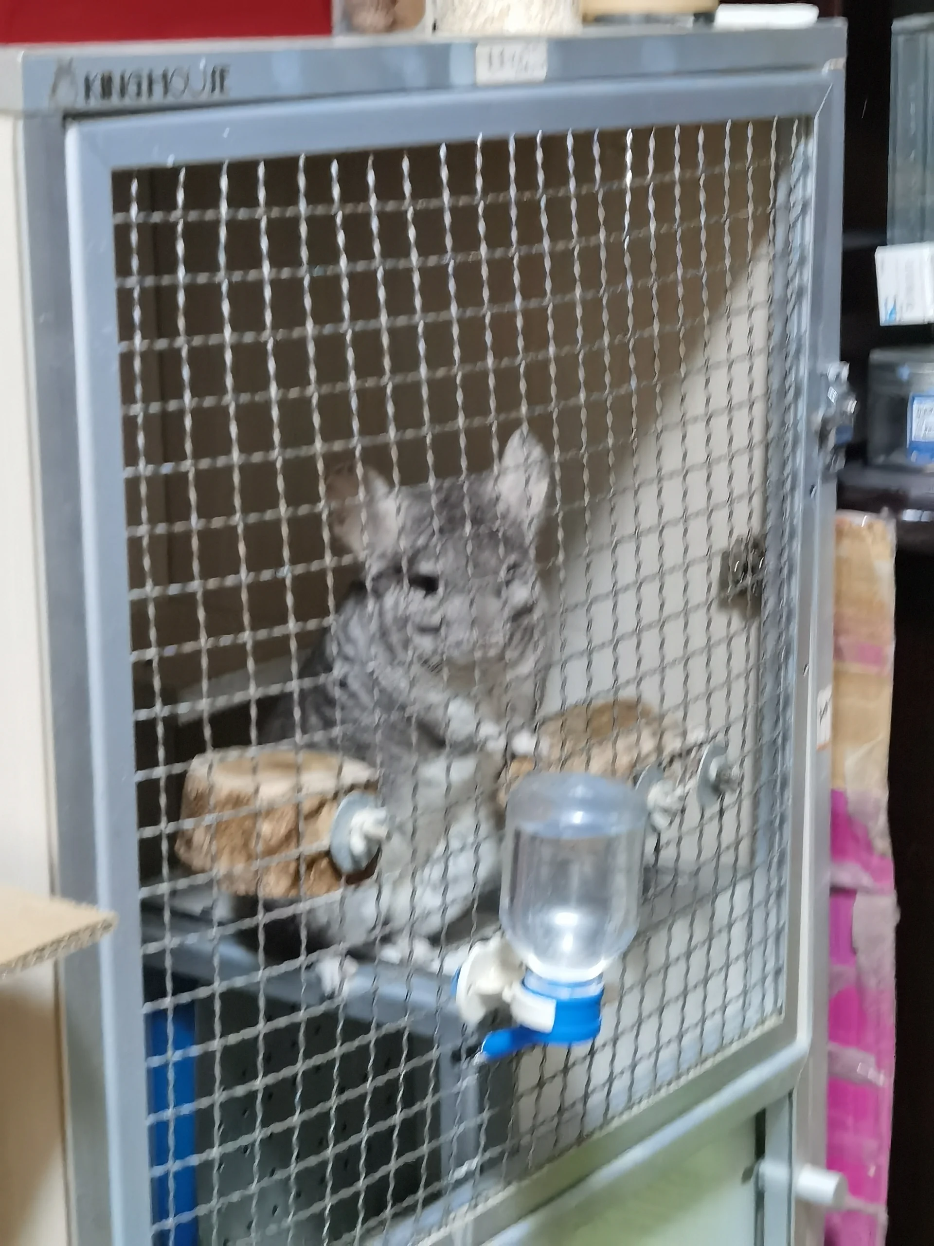 もっと見る