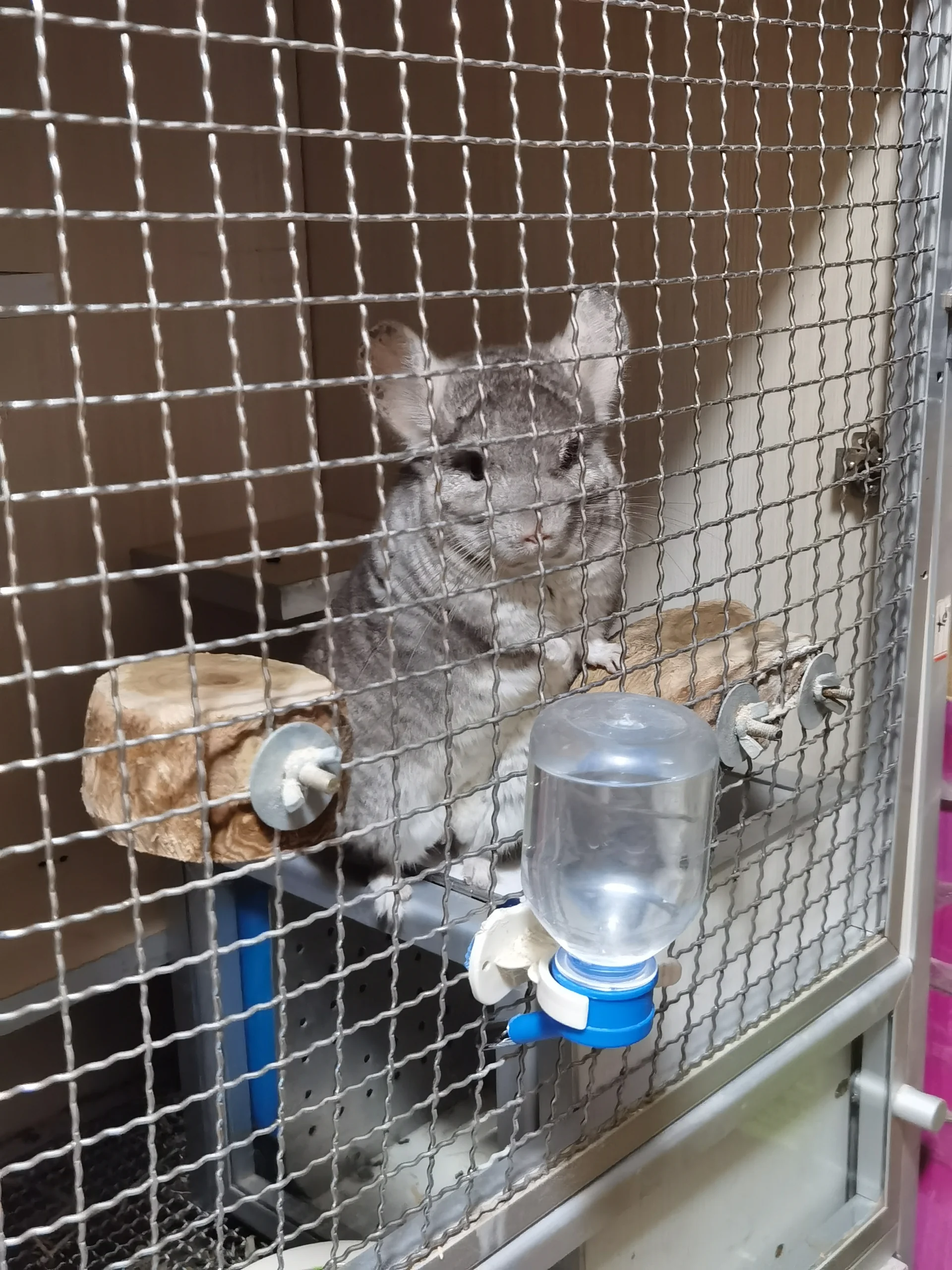 もっと見る
