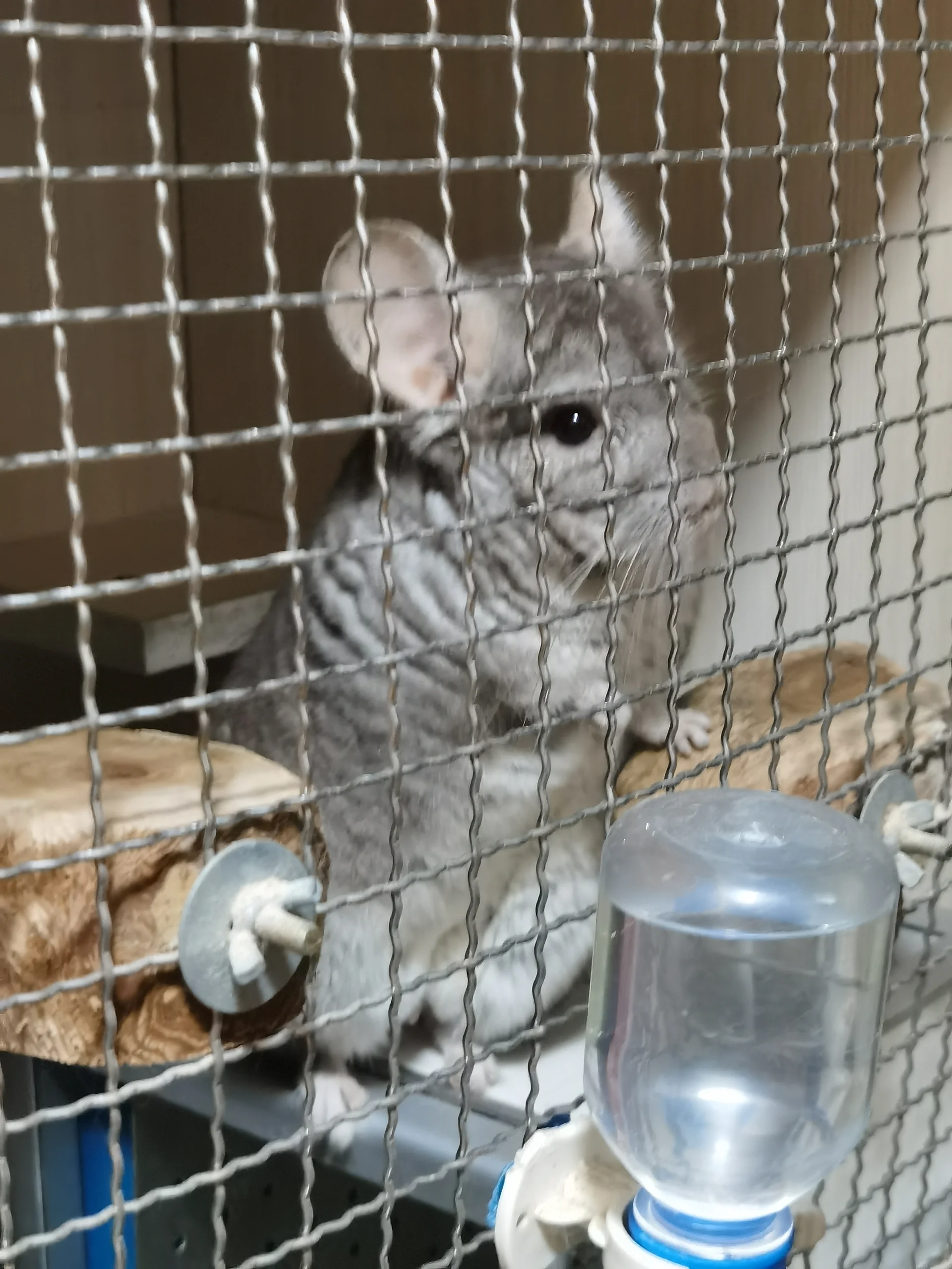 もっと見る