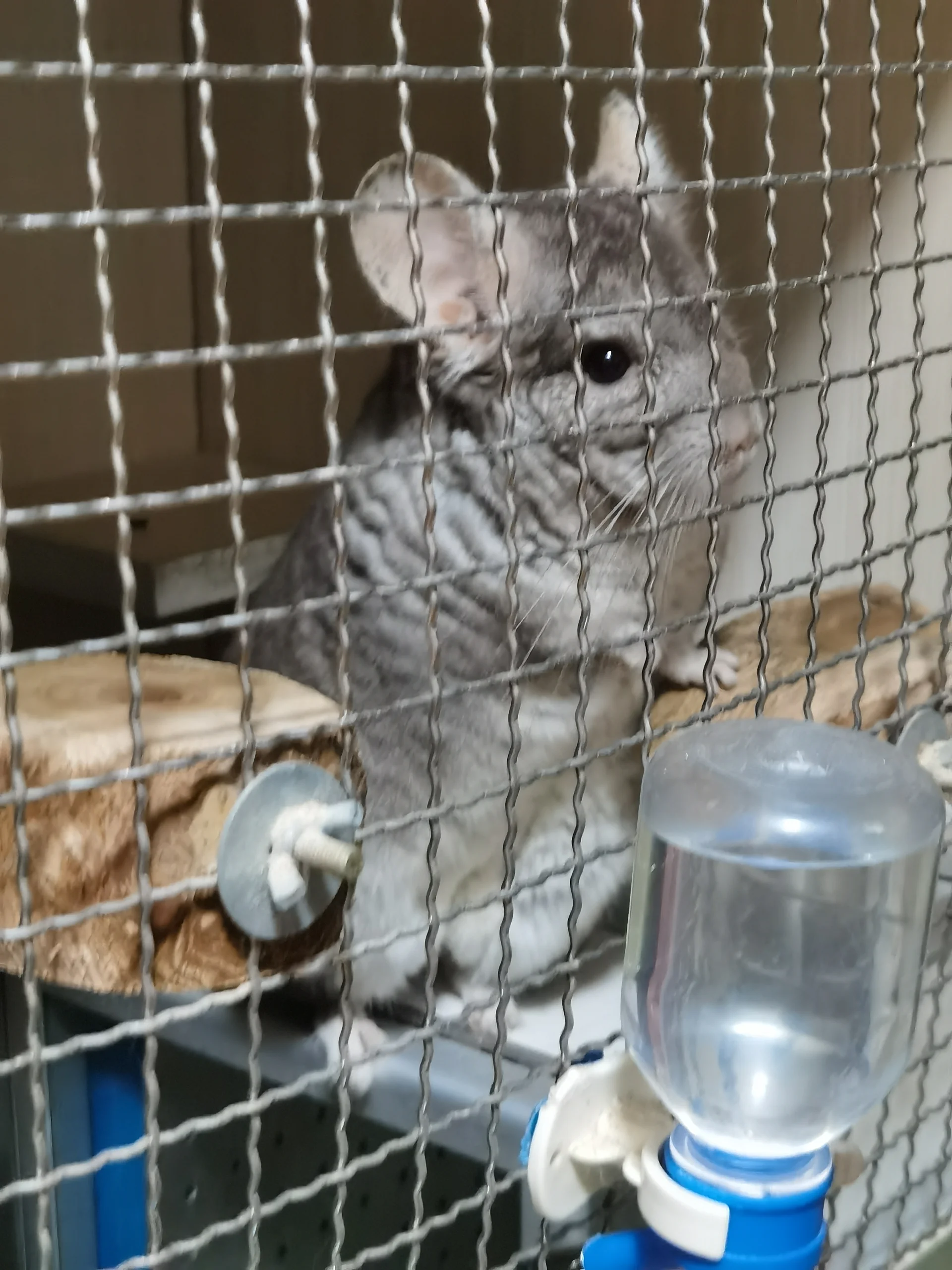 もっと見る