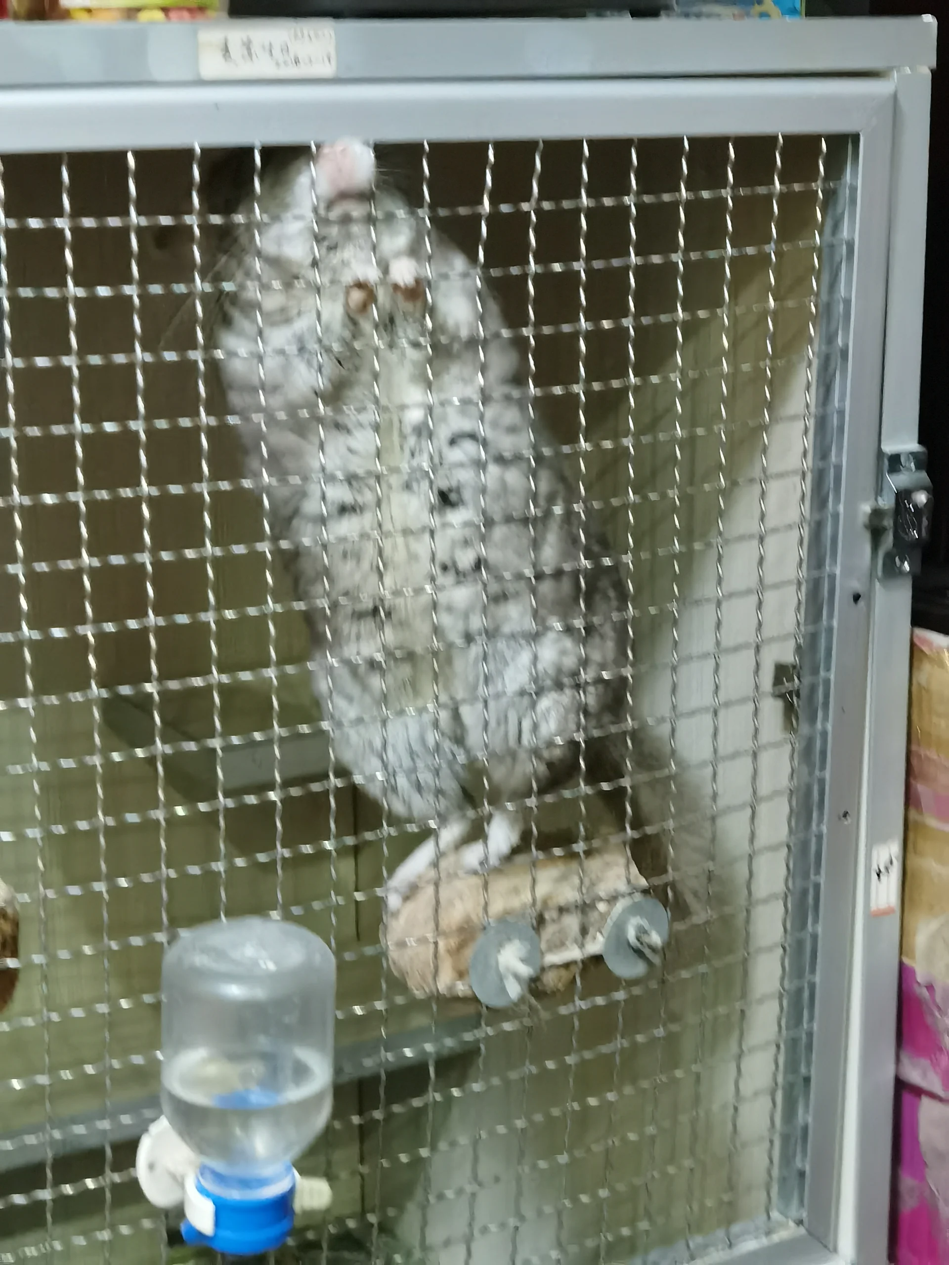 もっと見る