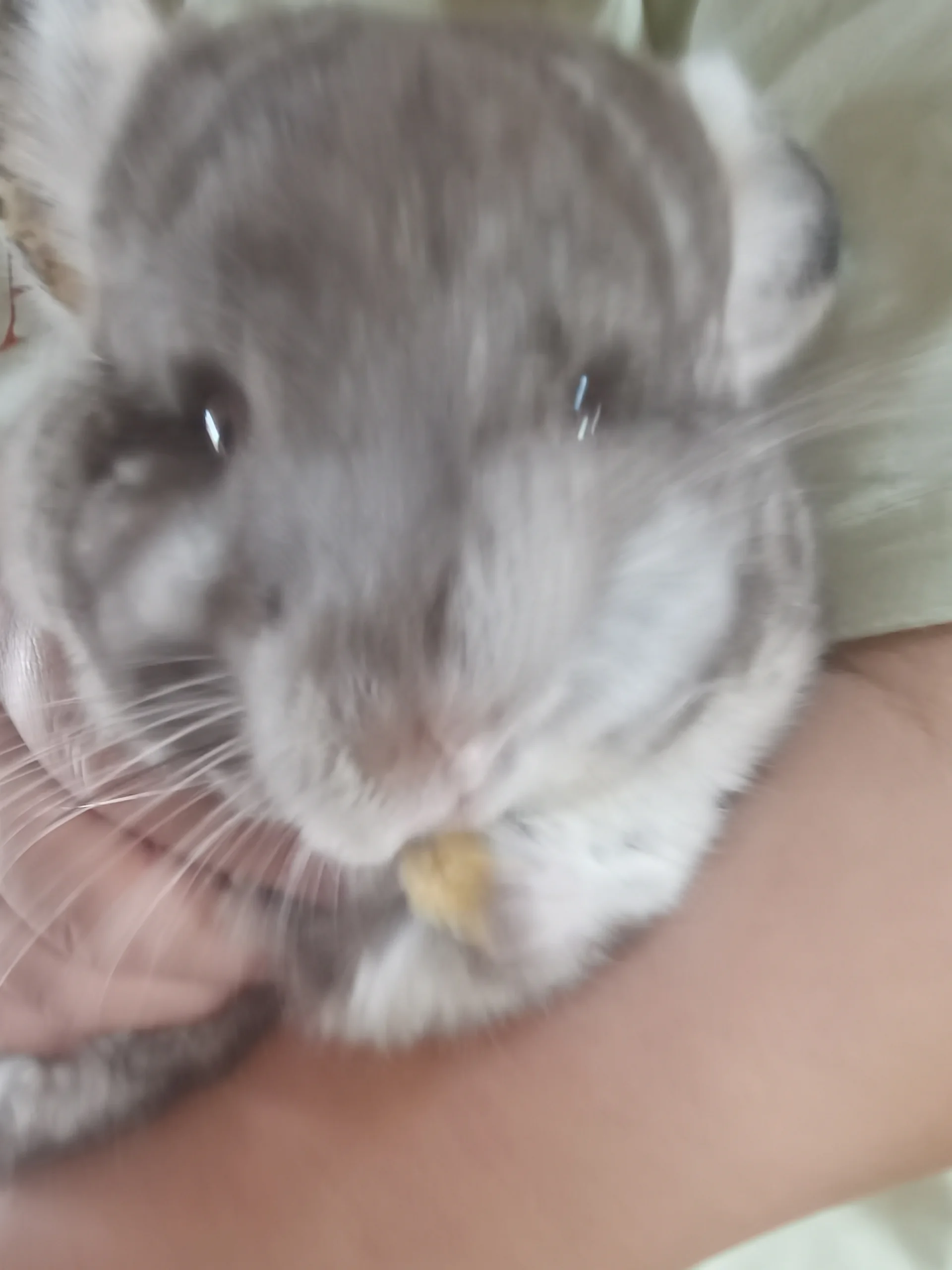 もっと見る