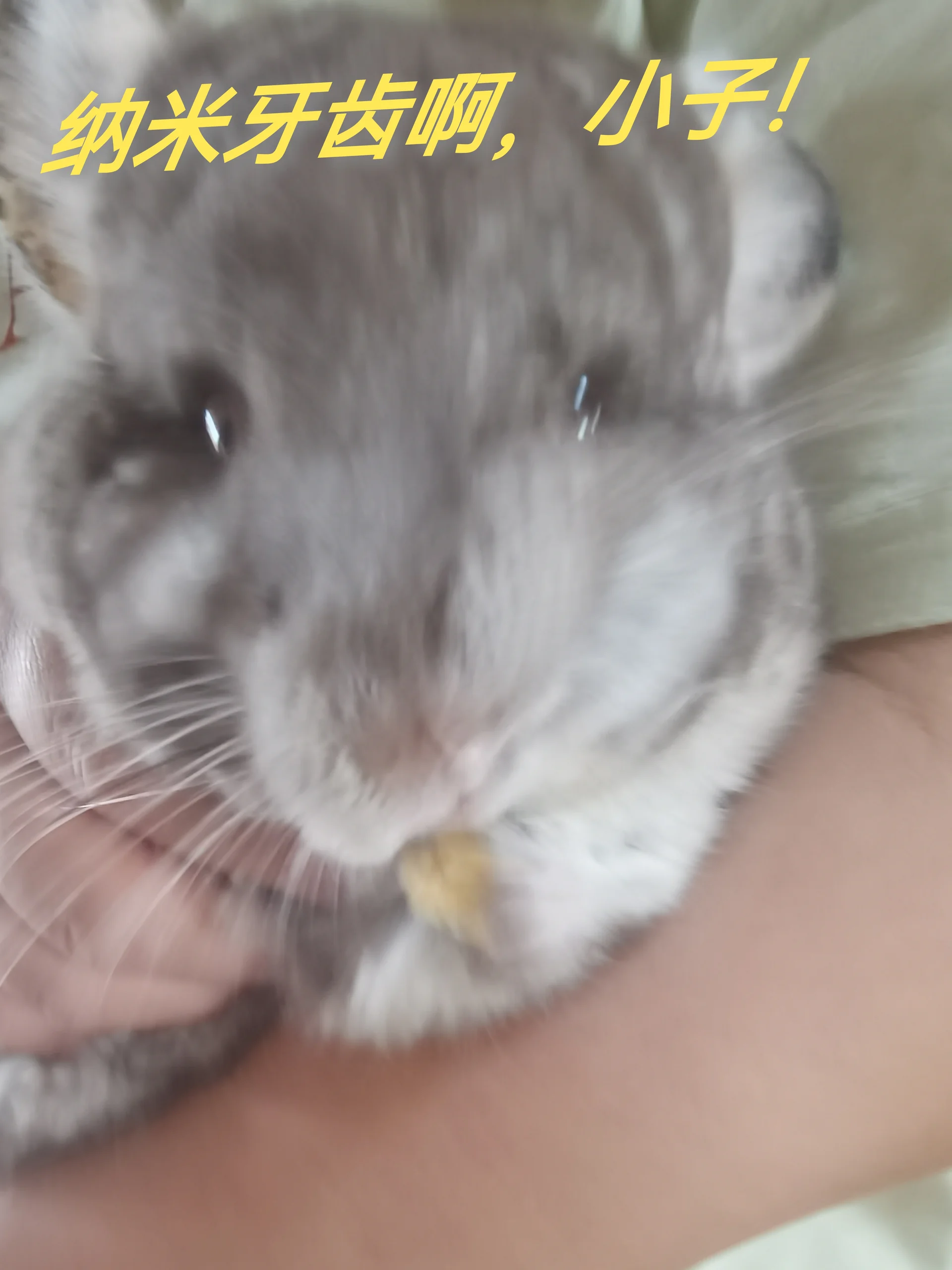 もっと見る