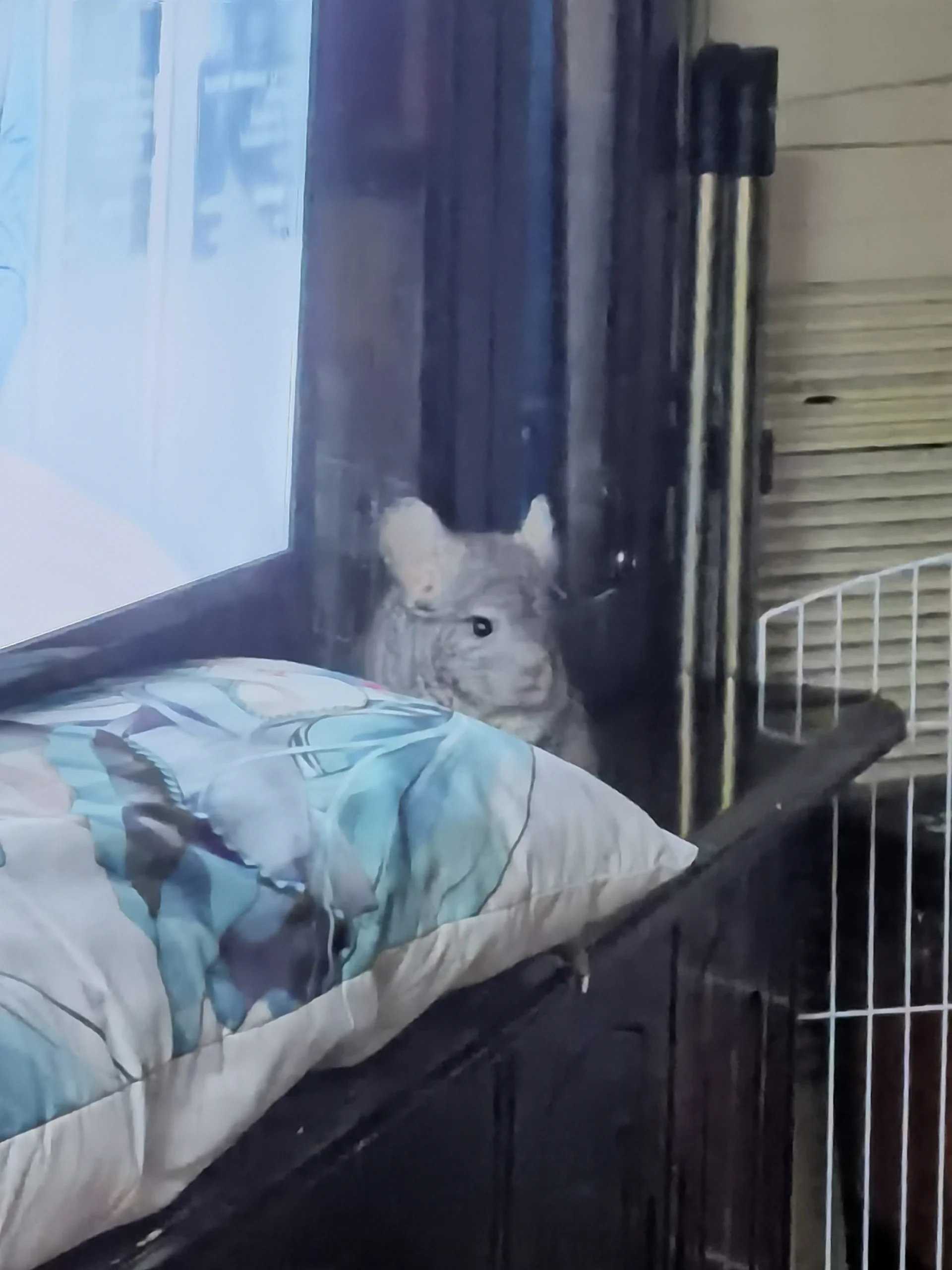 もっと見る