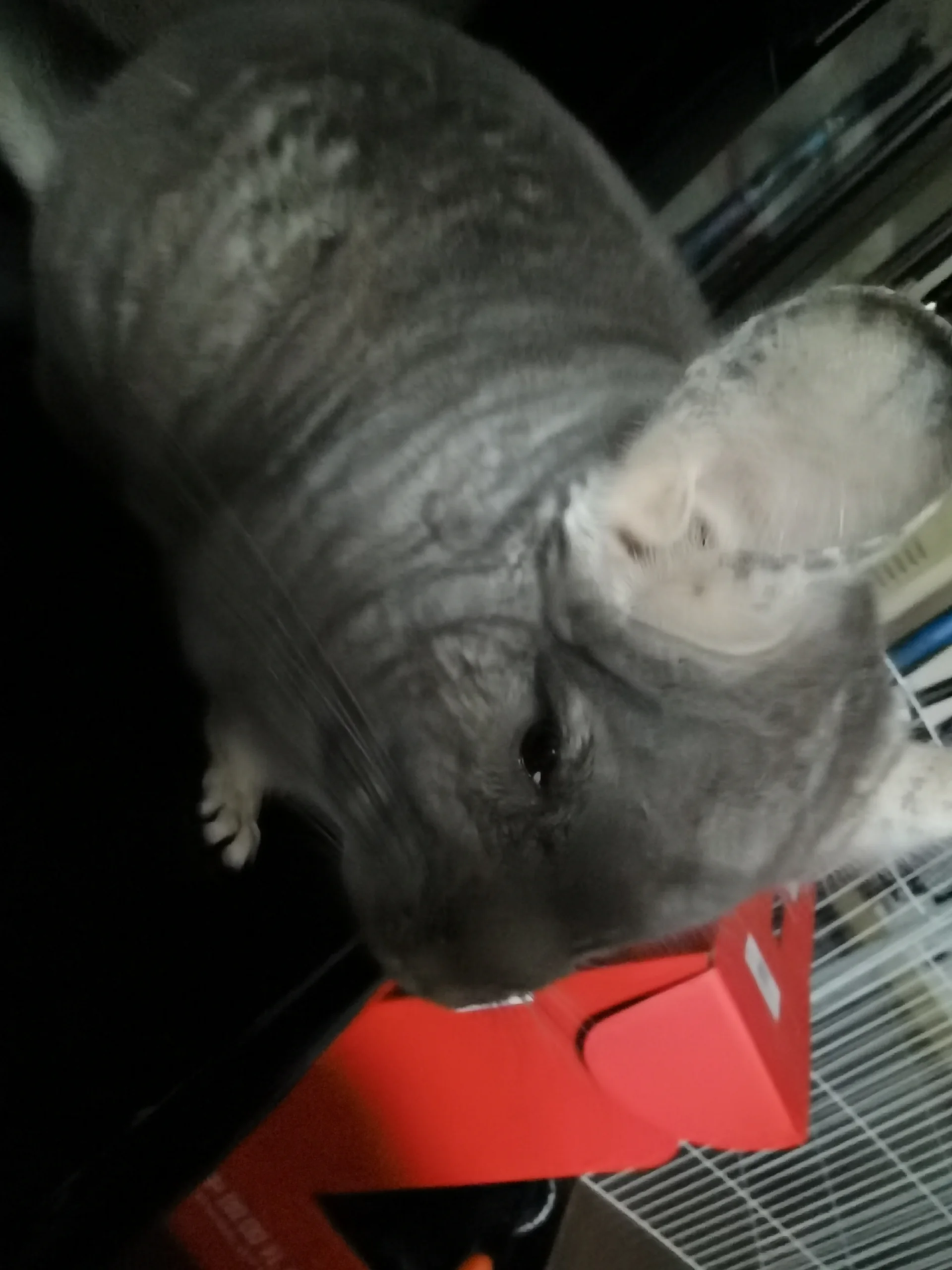 もっと見る
