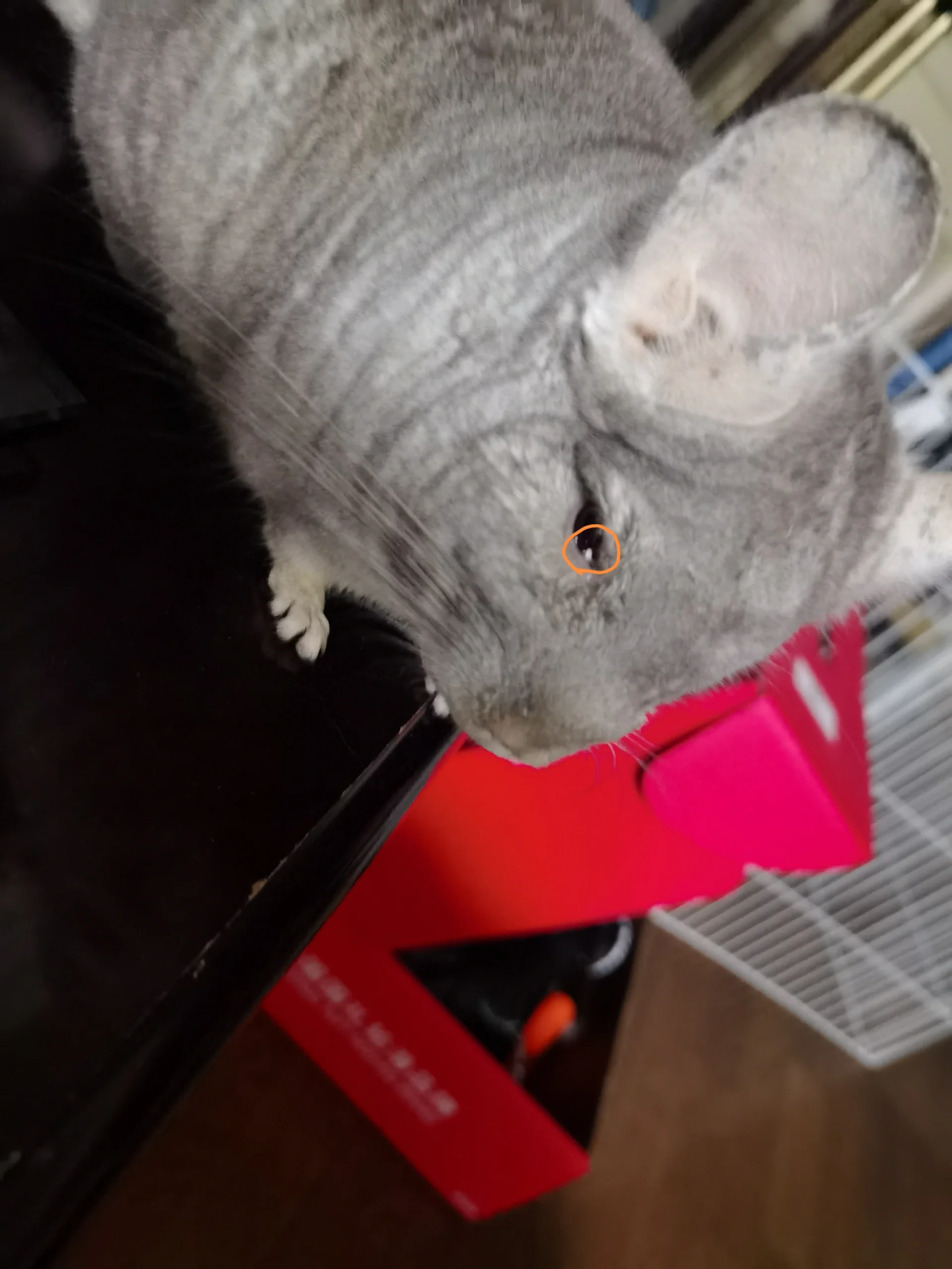 もっと見る