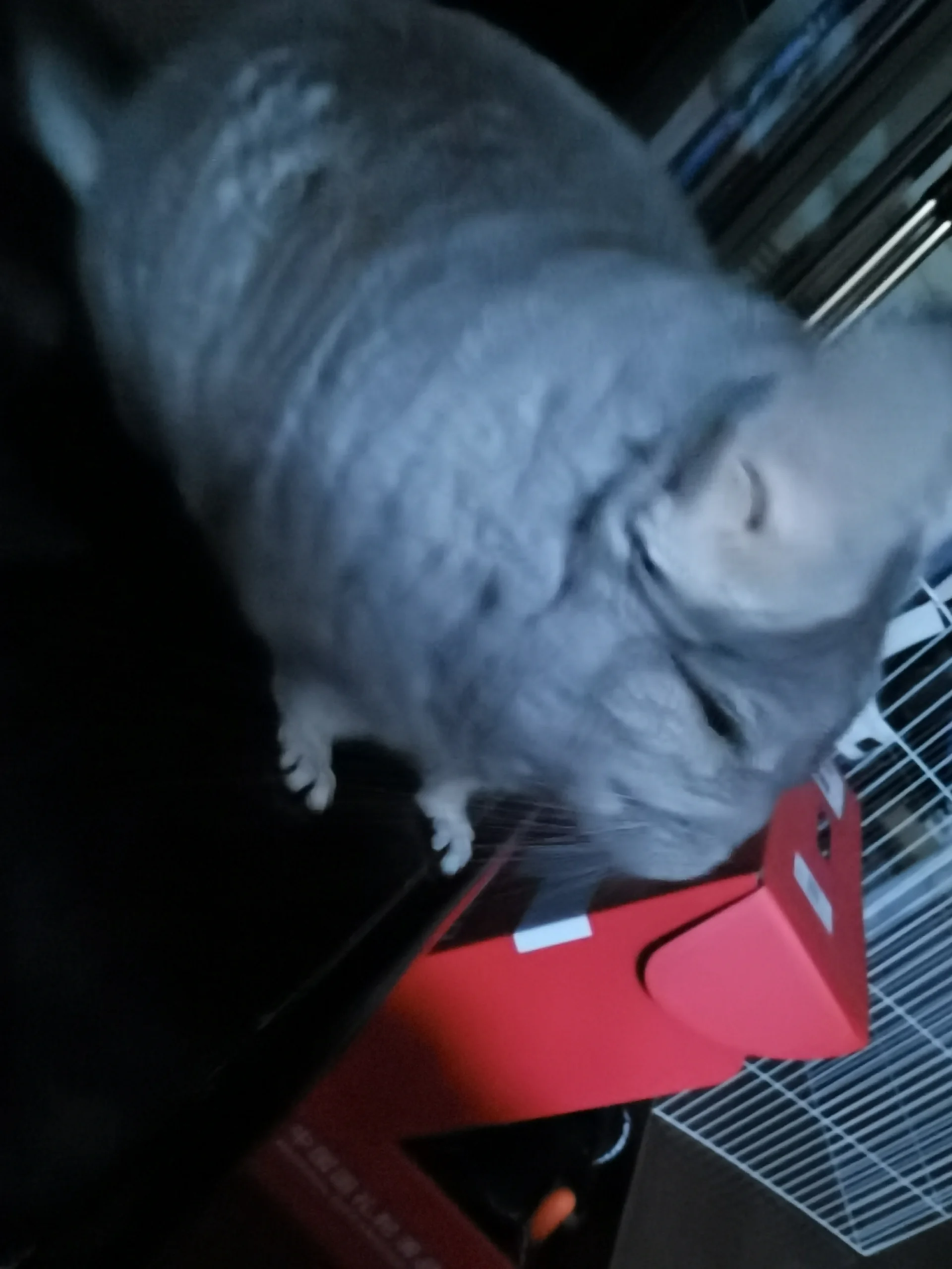 もっと見る