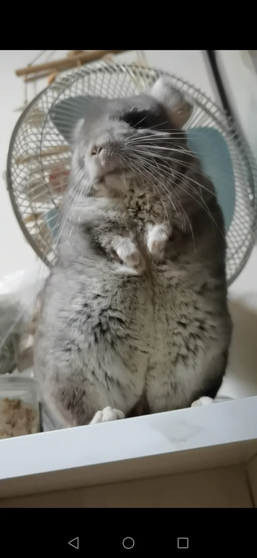 もっと見る