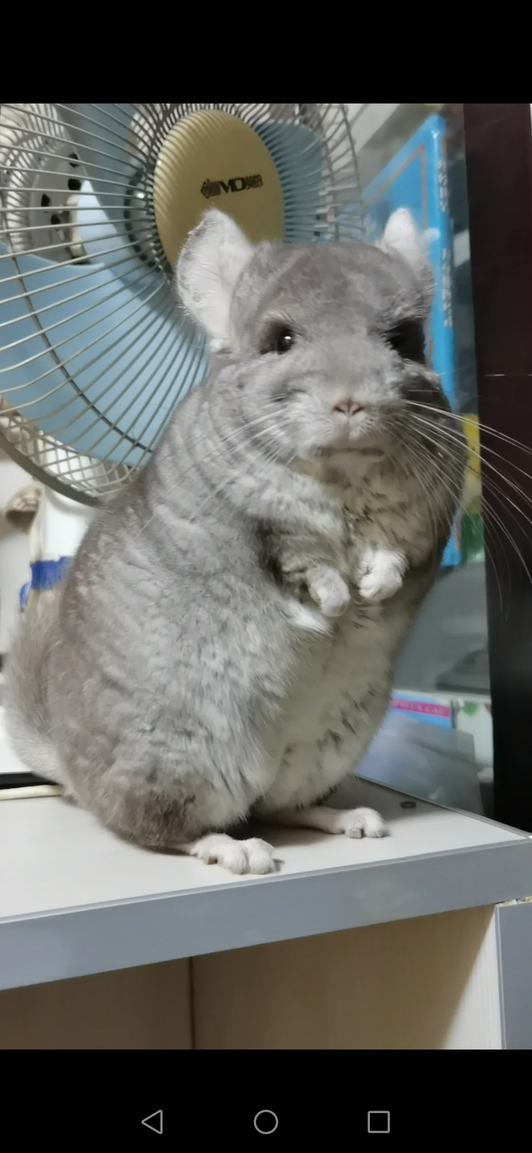 もっと見る