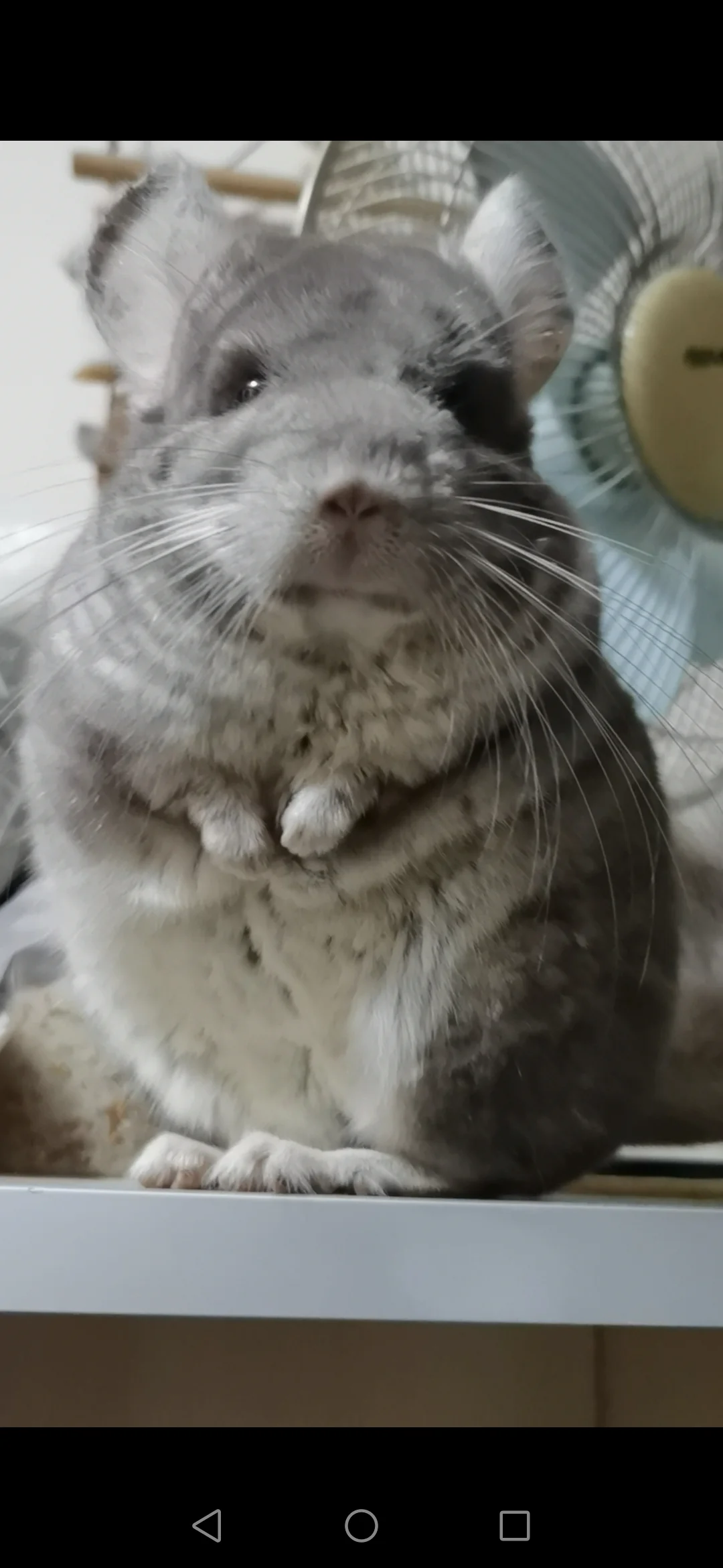 もっと見る
