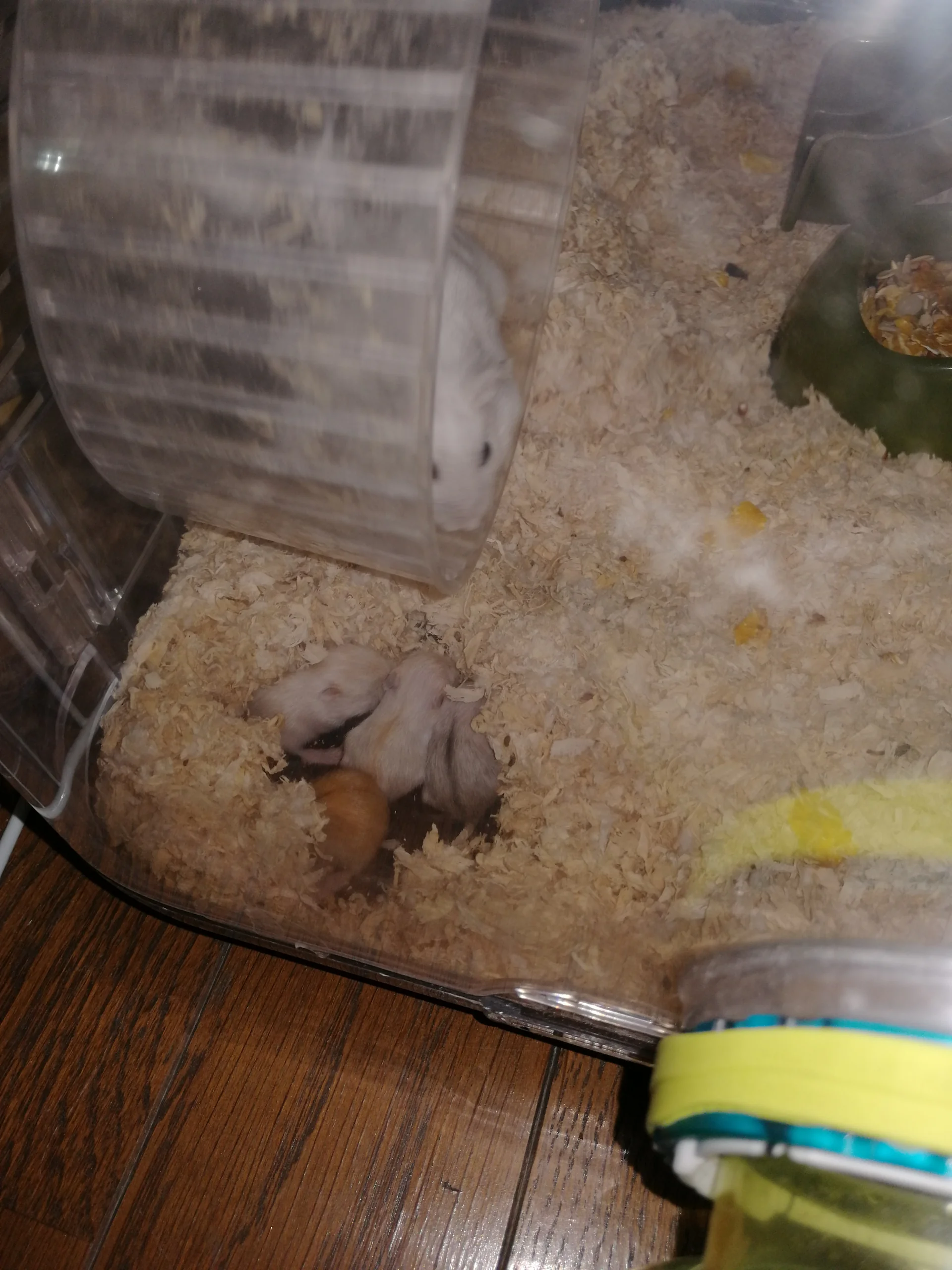 もっと見る
