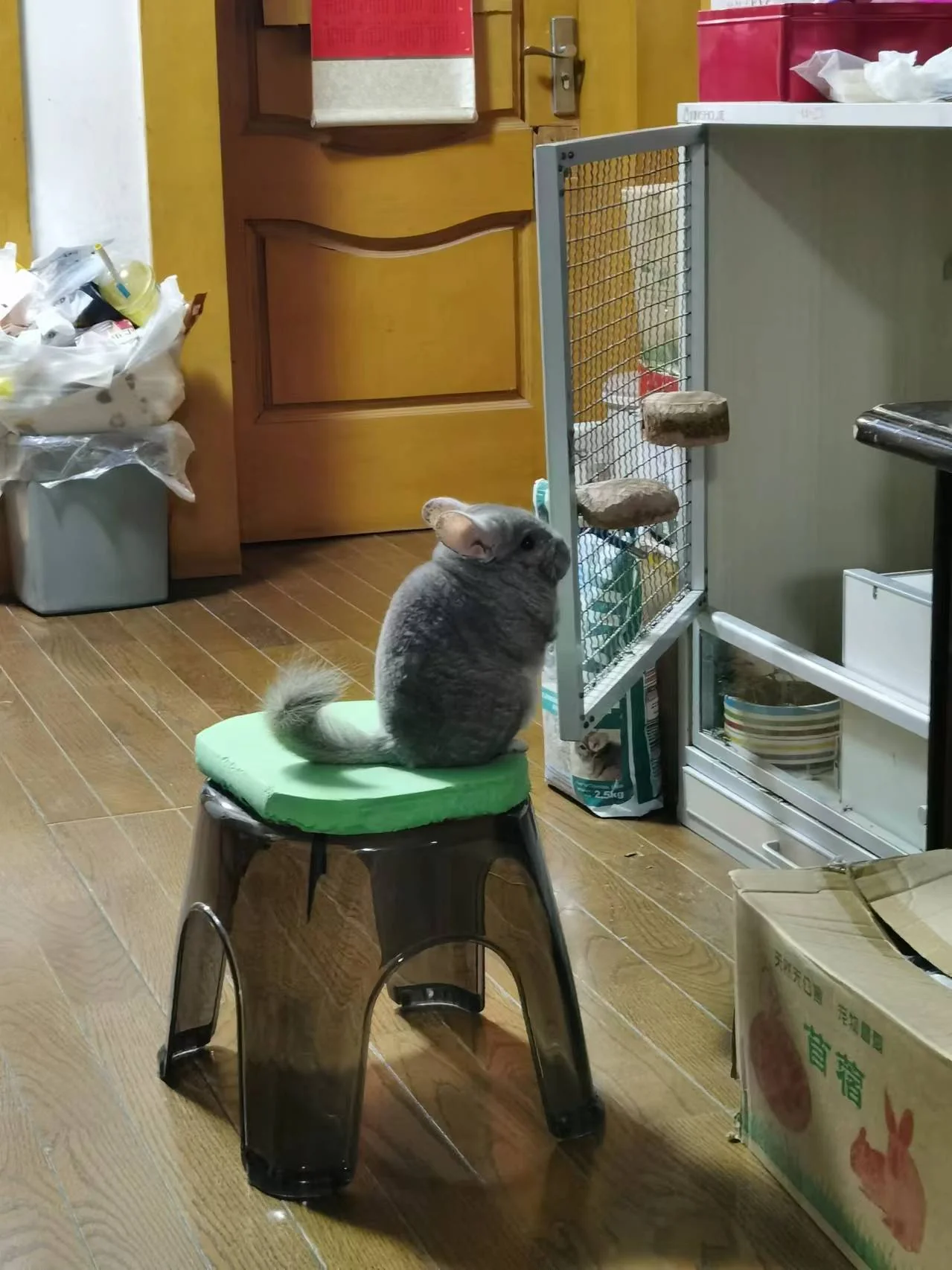 もっと見る