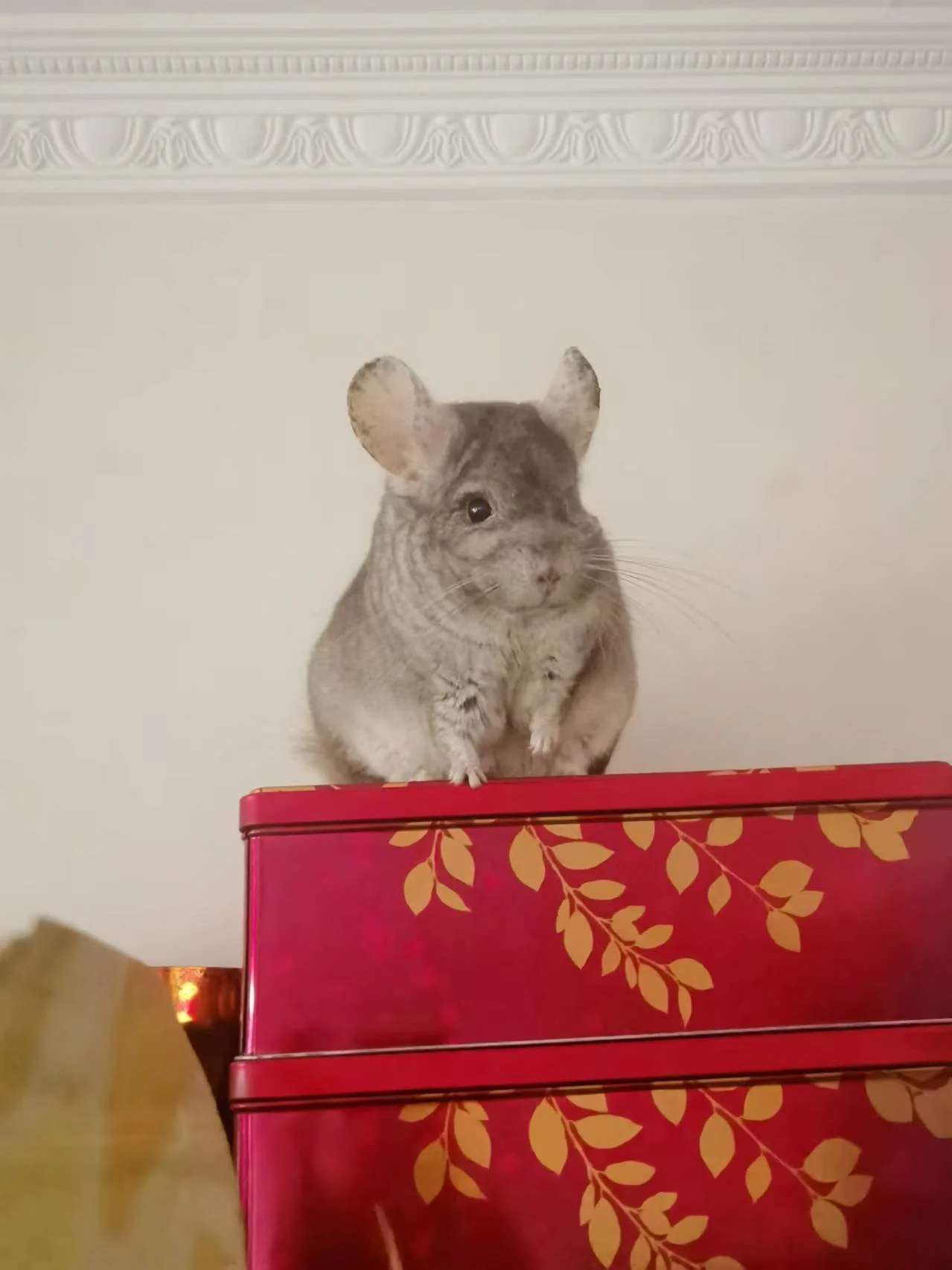 もっと見る