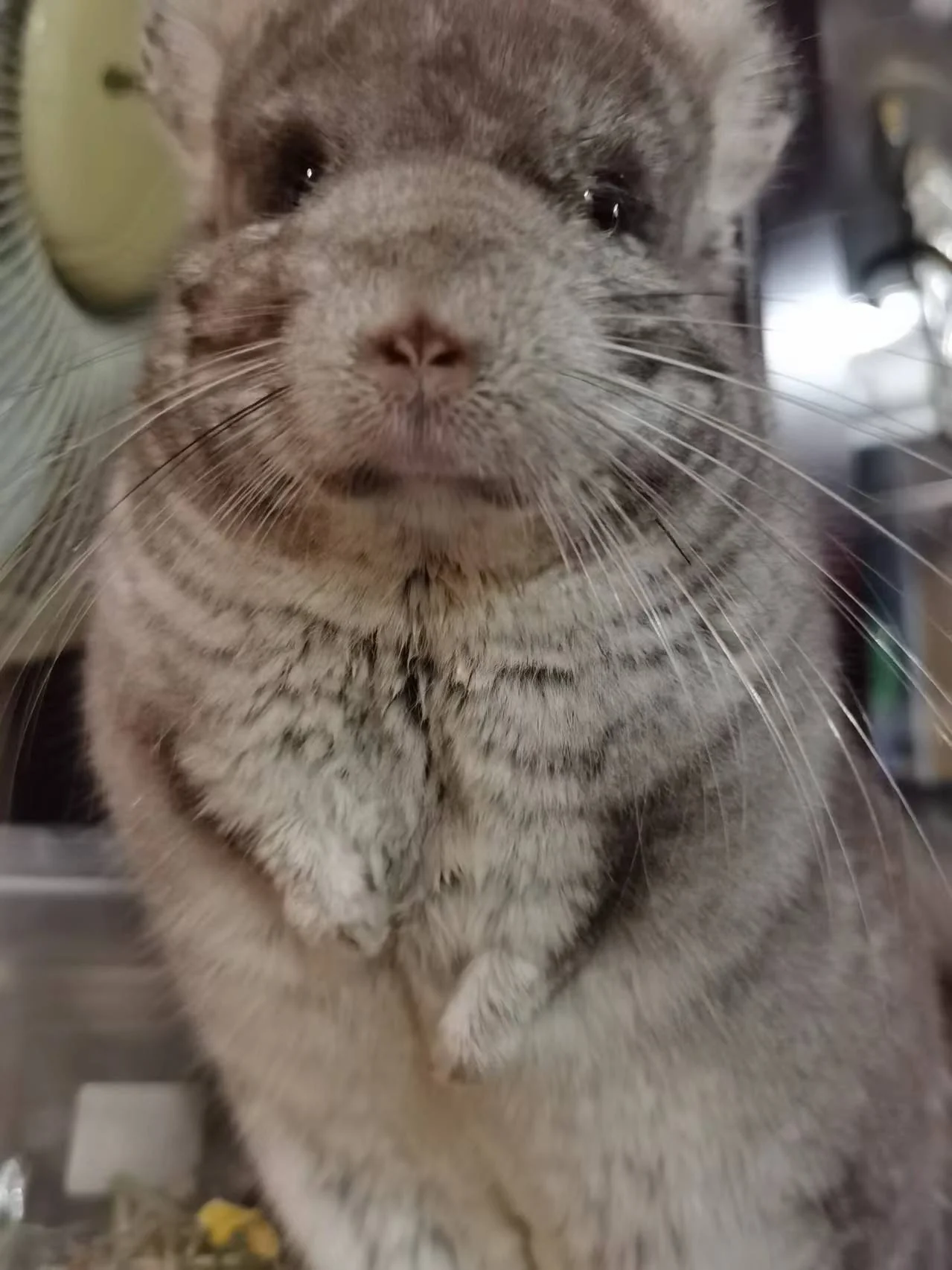 もっと見る