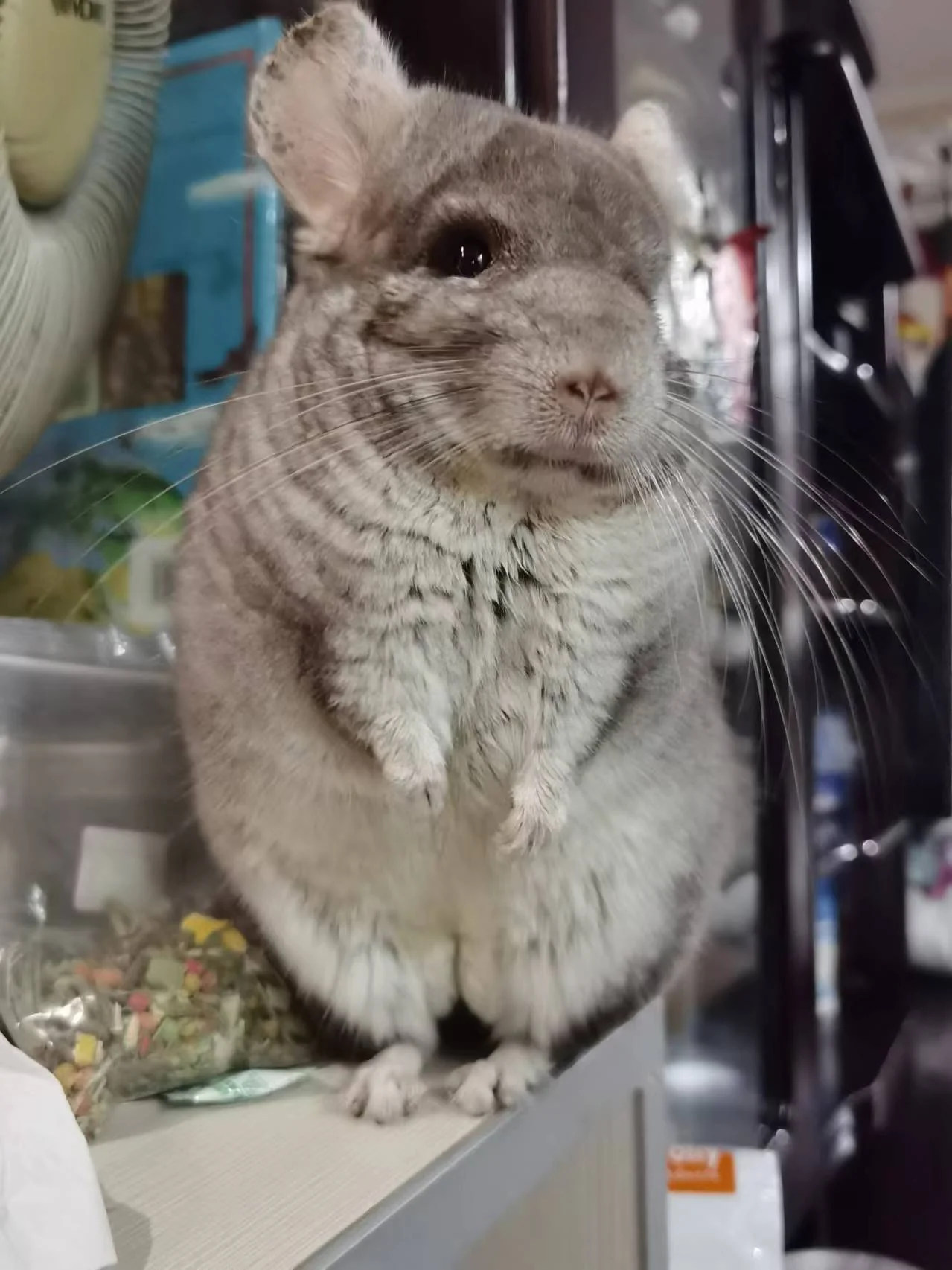 もっと見る