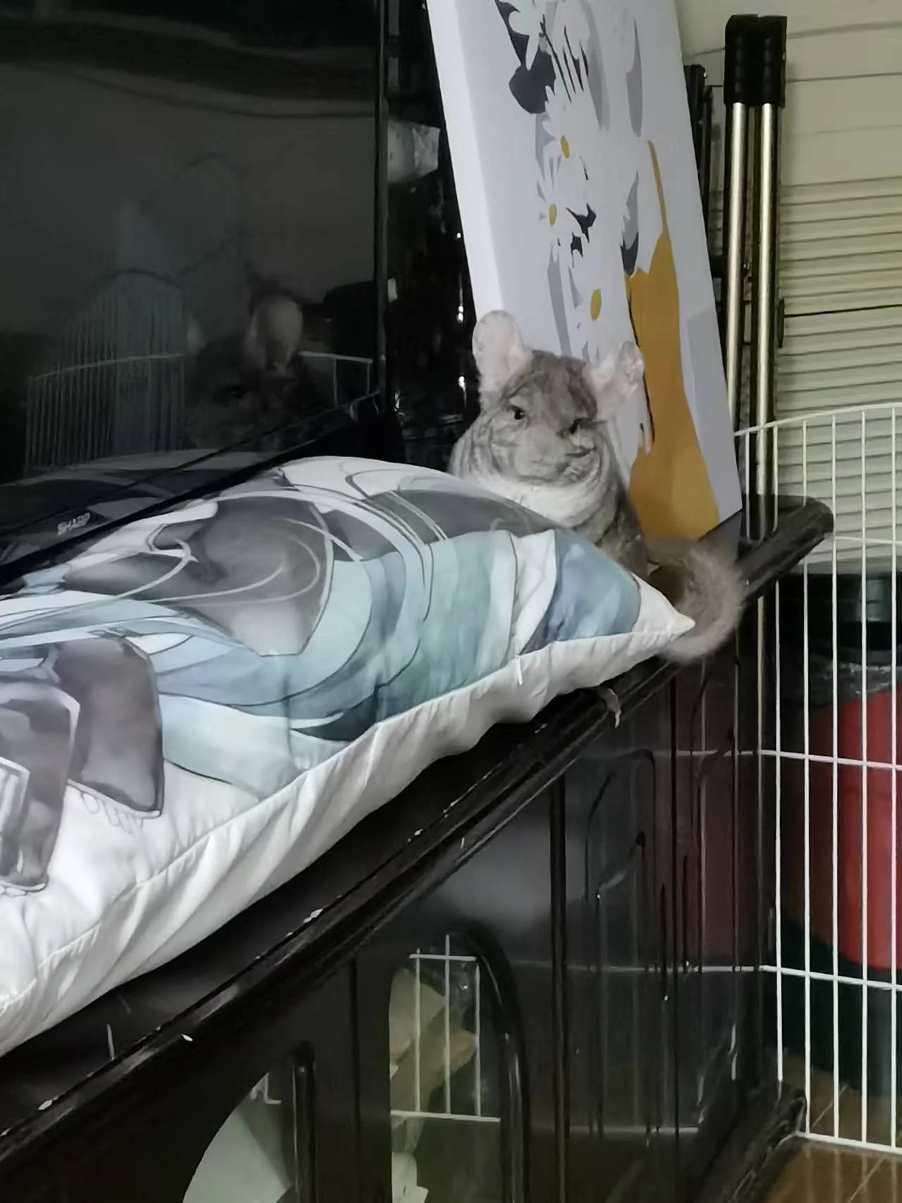 もっと見る