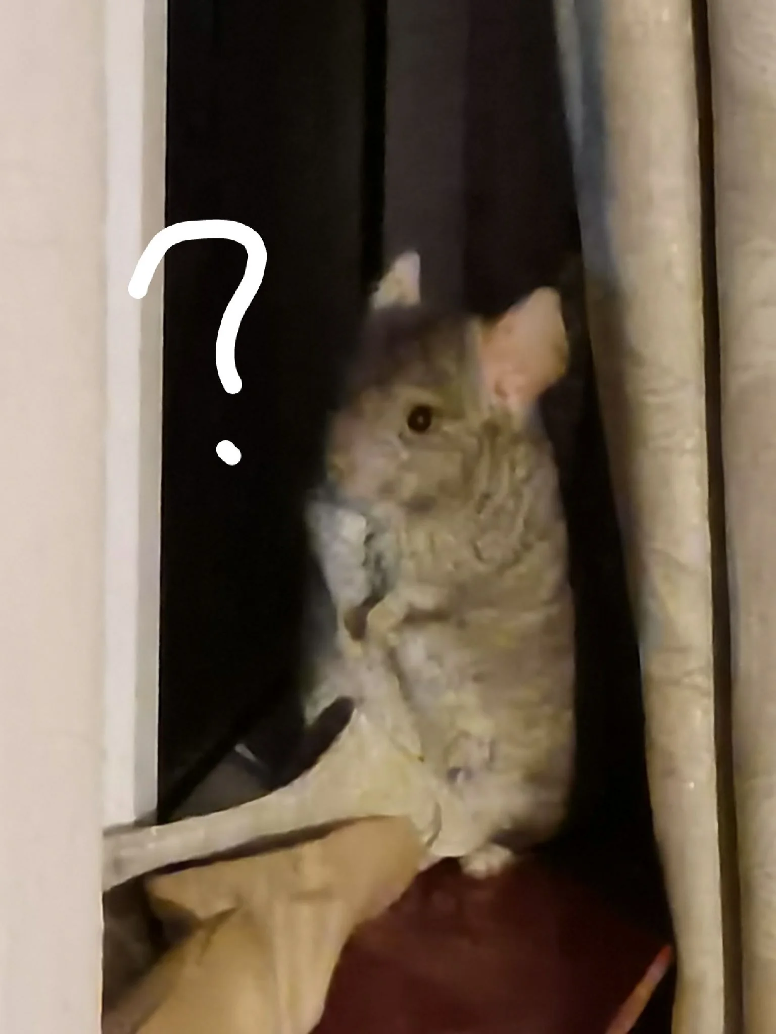 もっと見る