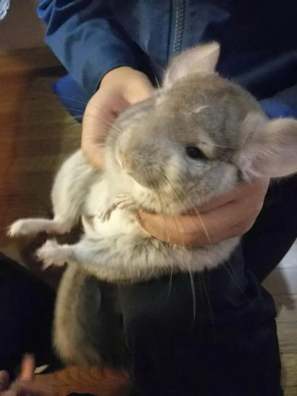 おすすめ
