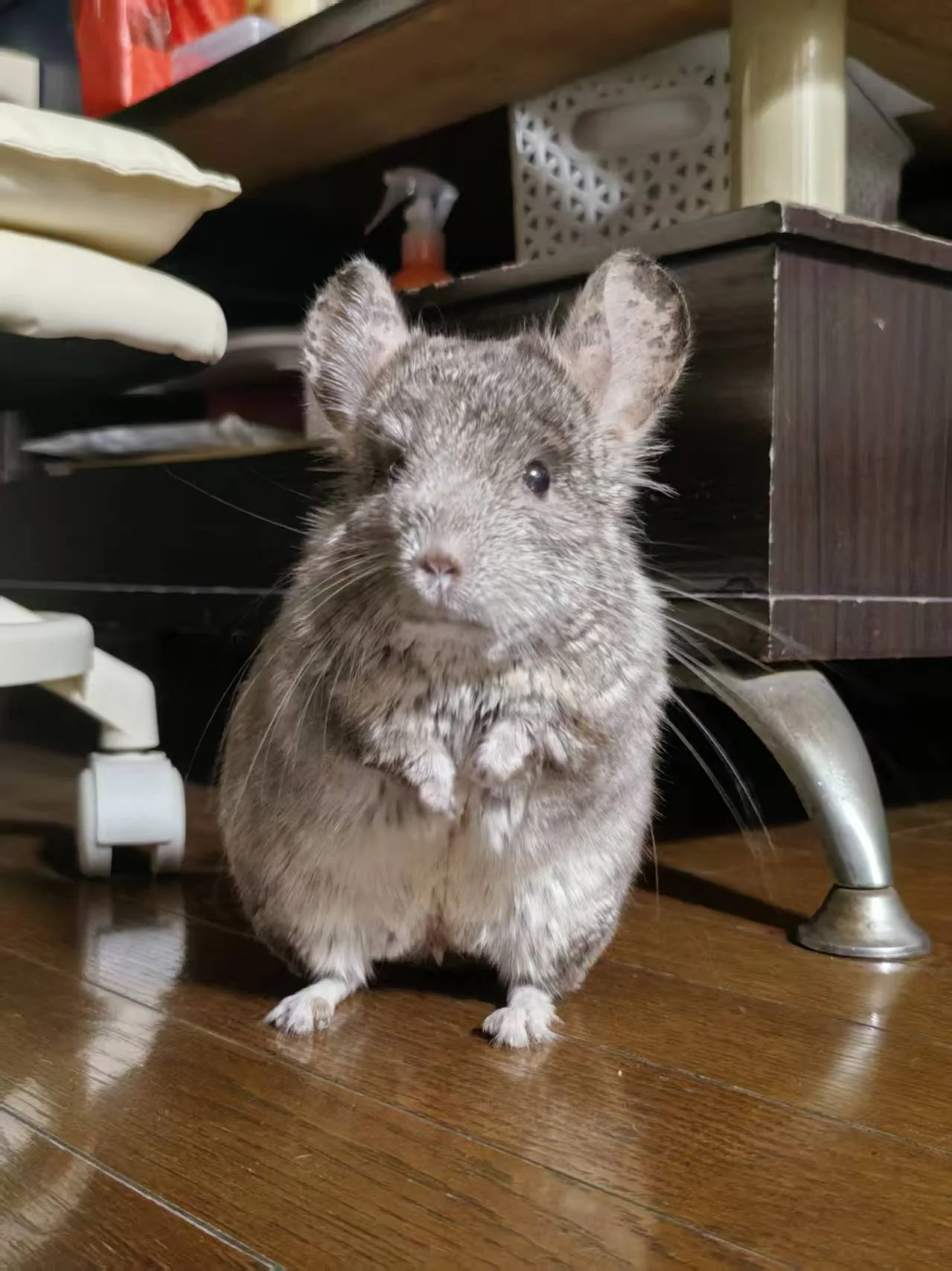 おすすめ