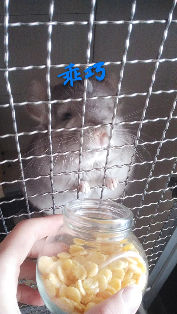 おすすめ