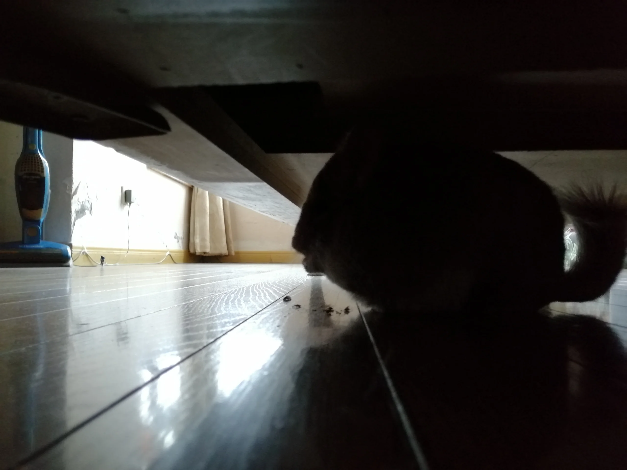 おすすめ