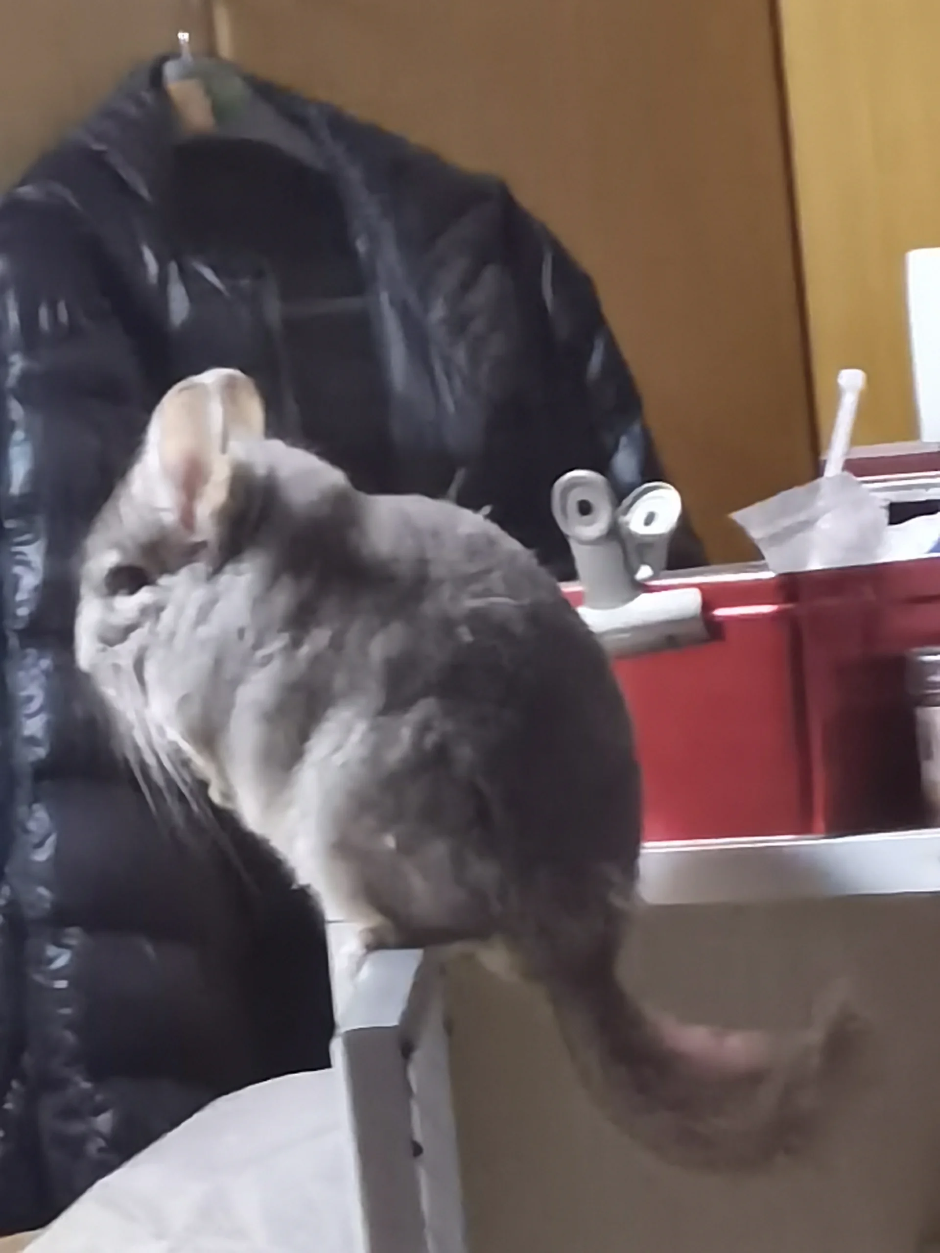 おすすめ