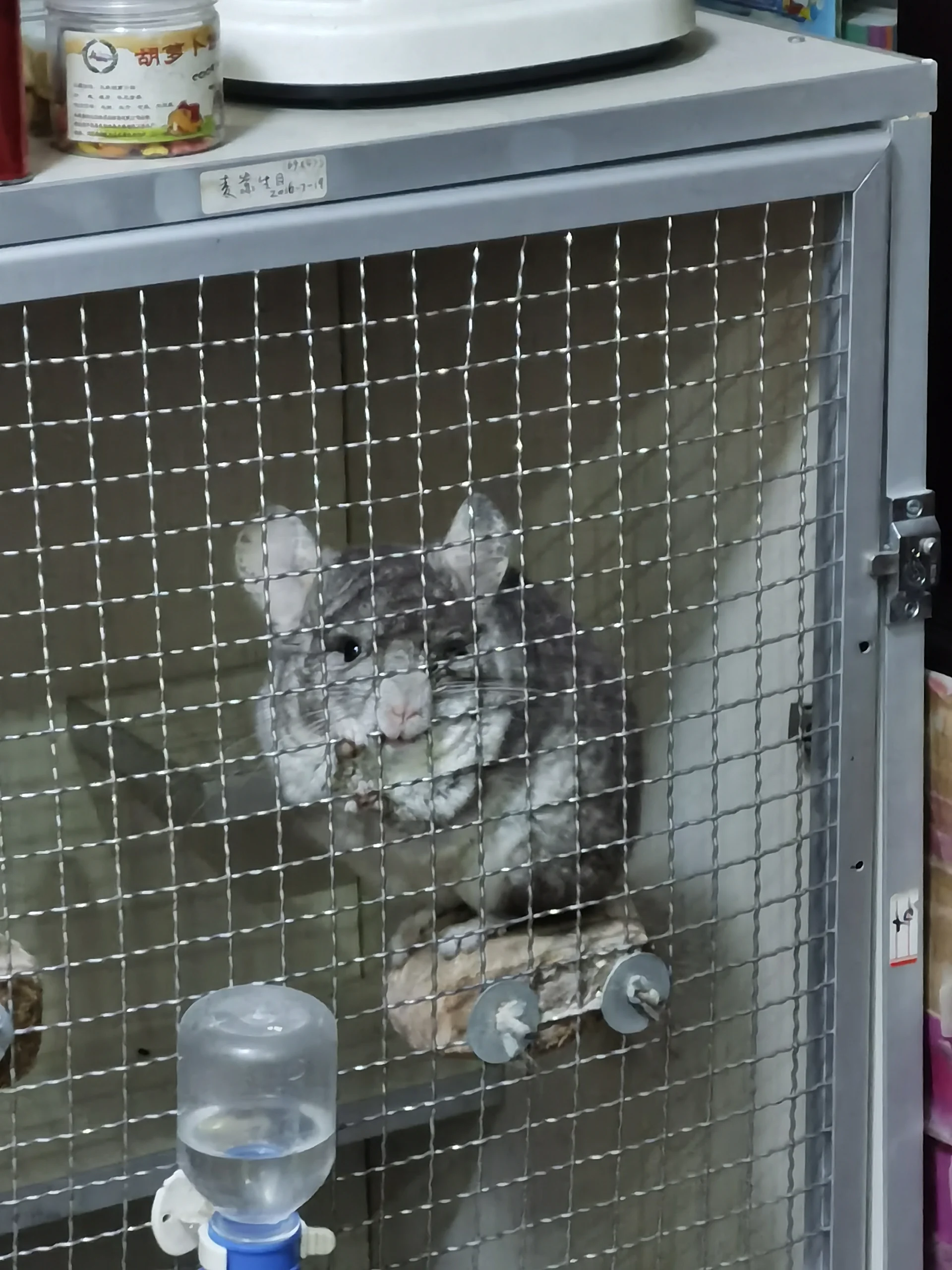 おすすめ