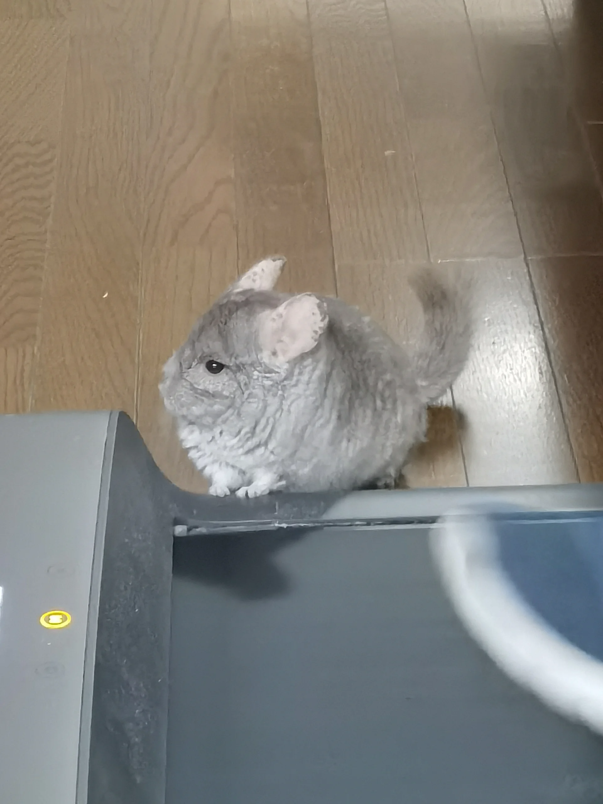 おすすめ