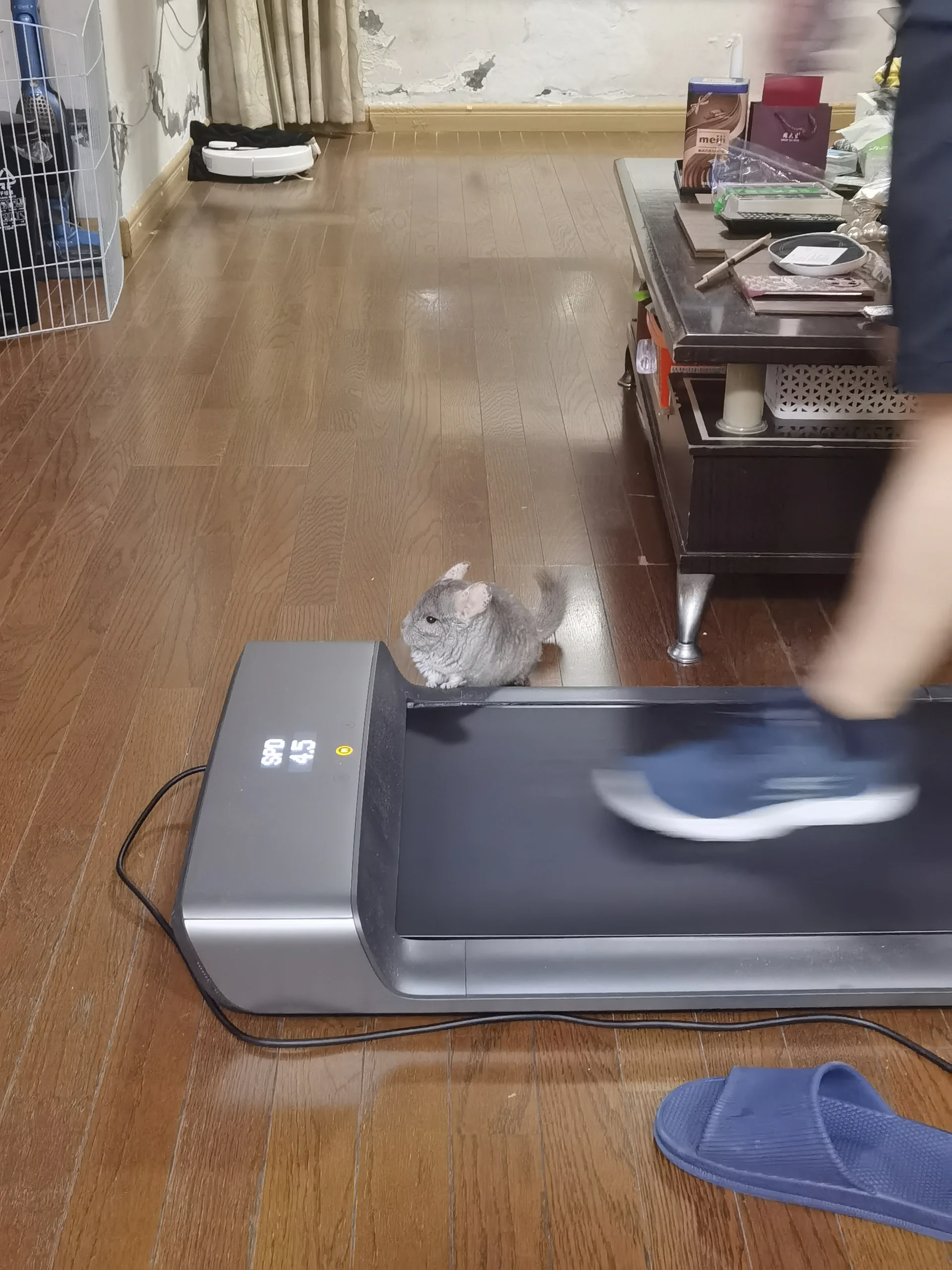 おすすめ