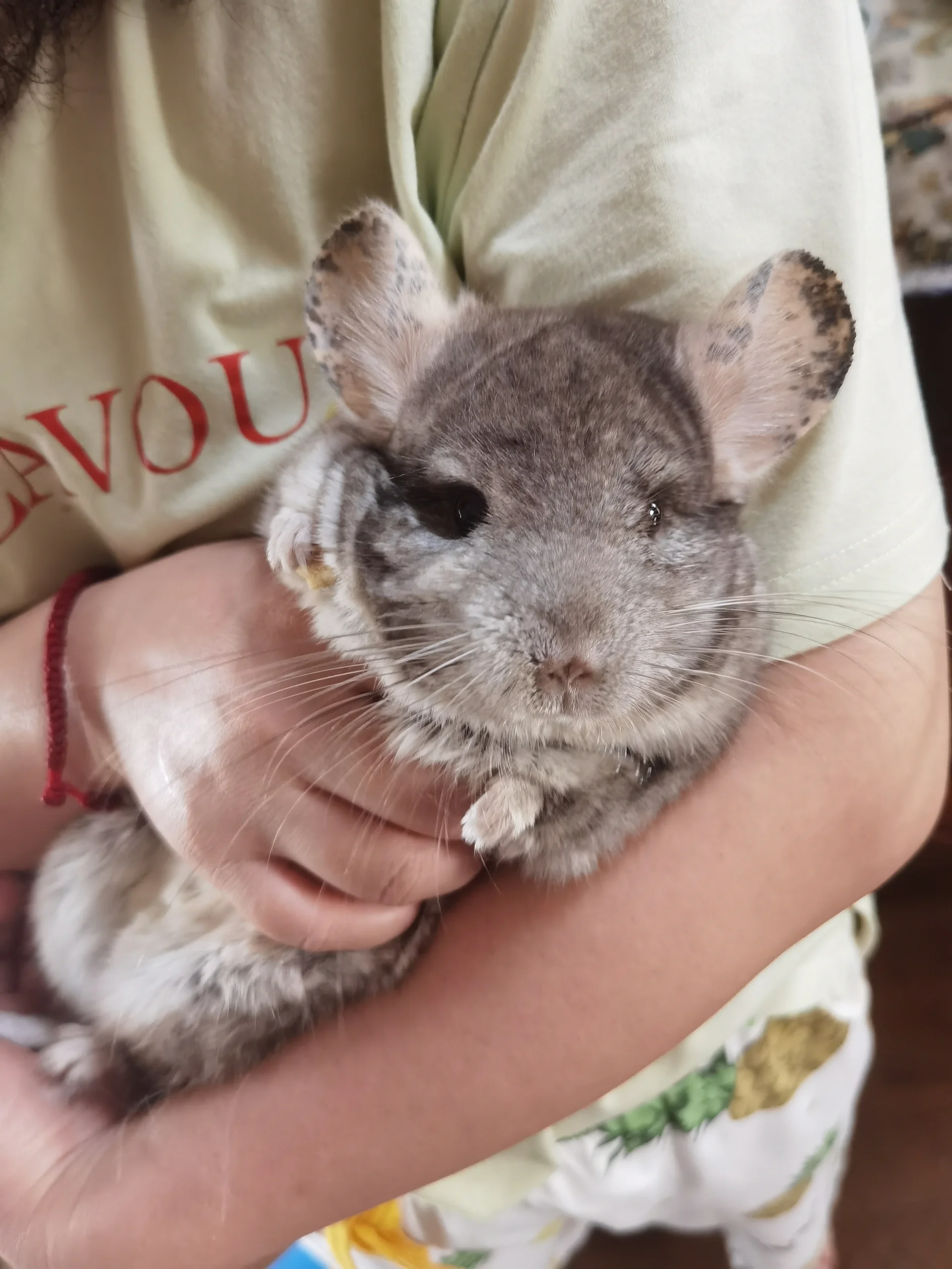 おすすめ