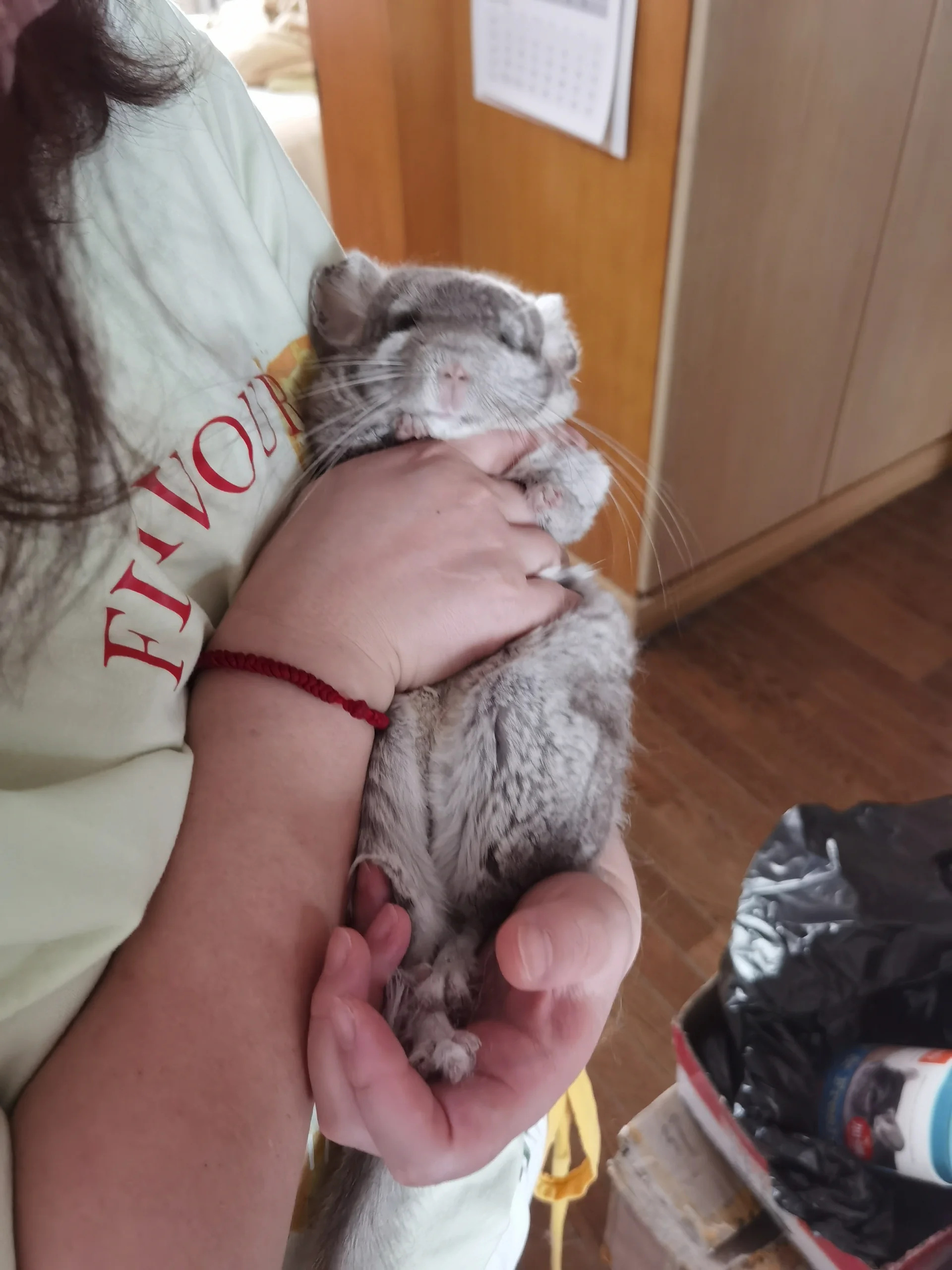 おすすめ