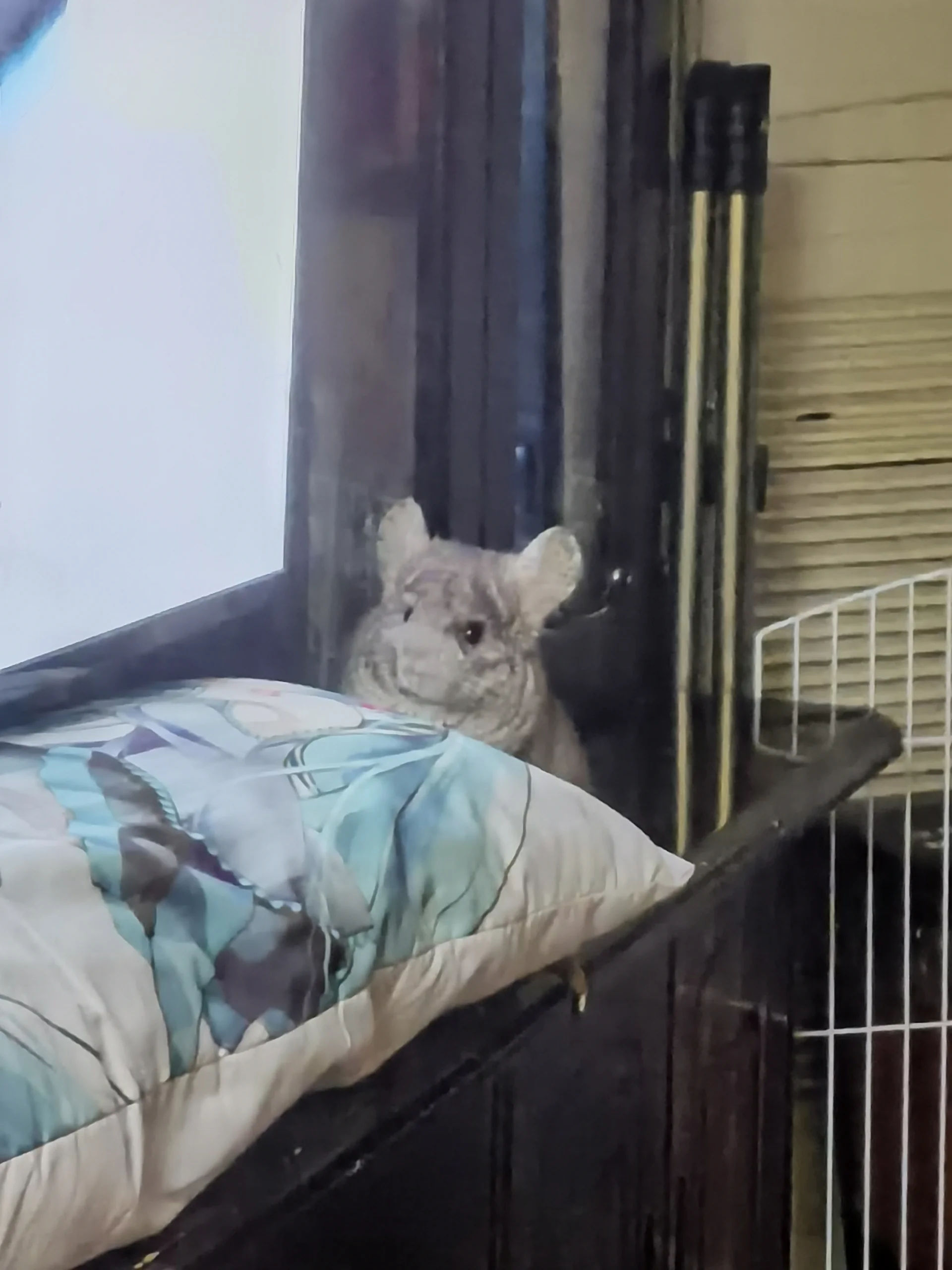 おすすめ