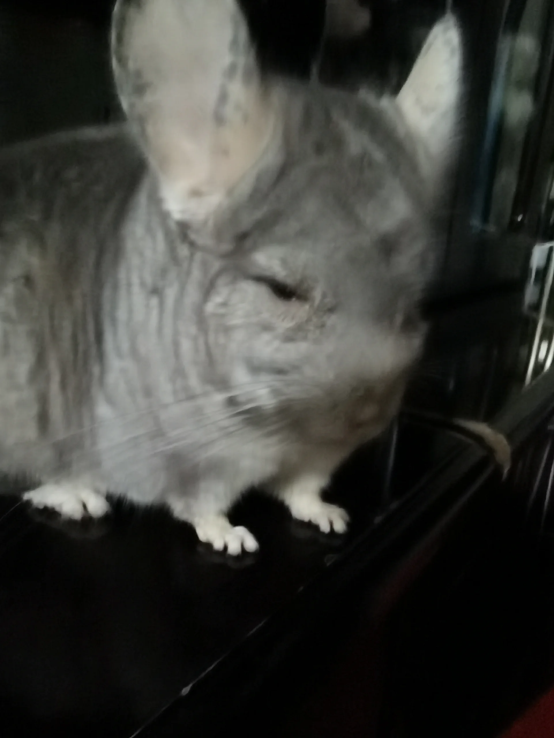 おすすめ